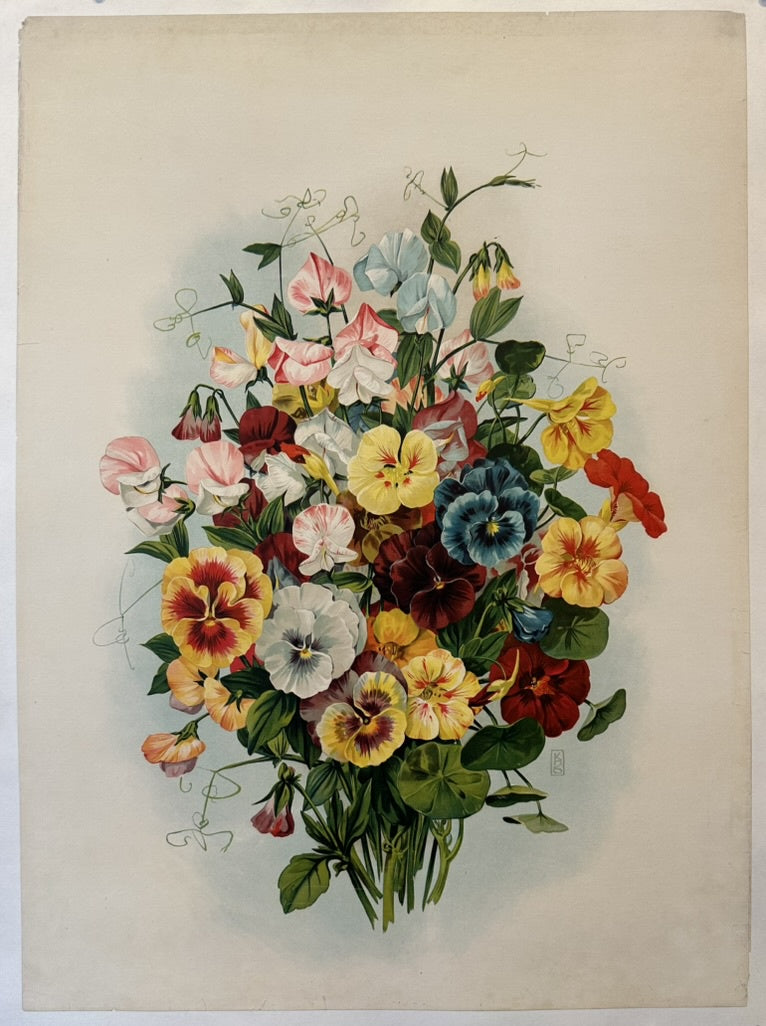 A vibrant hand-colored lithograph featuring a bouquet of pansies and sweet peas in various colors, including pink, blue, yellow, red, and white, with green foliage