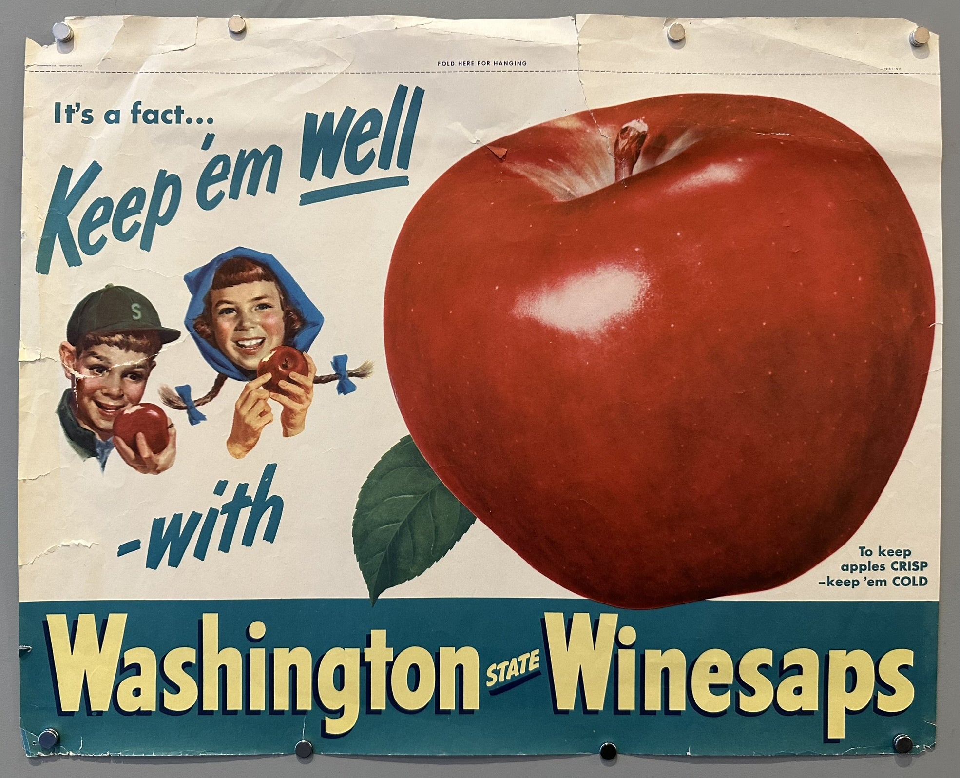 poster for Washington State Winesap apples features a large, glossy red apple on the right. To the left, two smiling children, a boy and a girl, are depicted holding smaller red apples. Text on the poster reads: "It's a fact... Keep 'em Well -with Washington State Winesaps" and "To keep apples CRISP - keep 'em COLD"