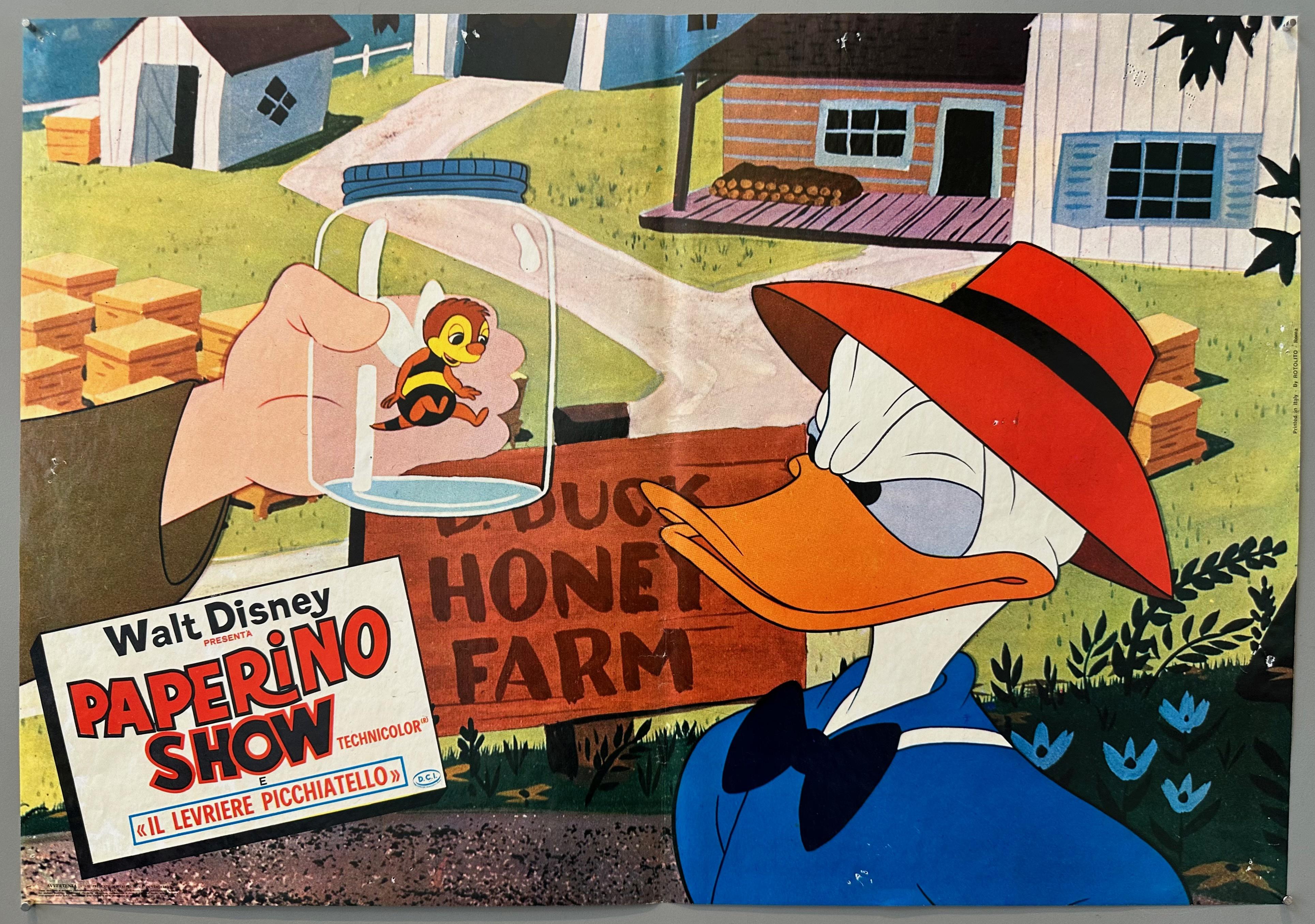 Walt Disney Paperino Show Poster 8