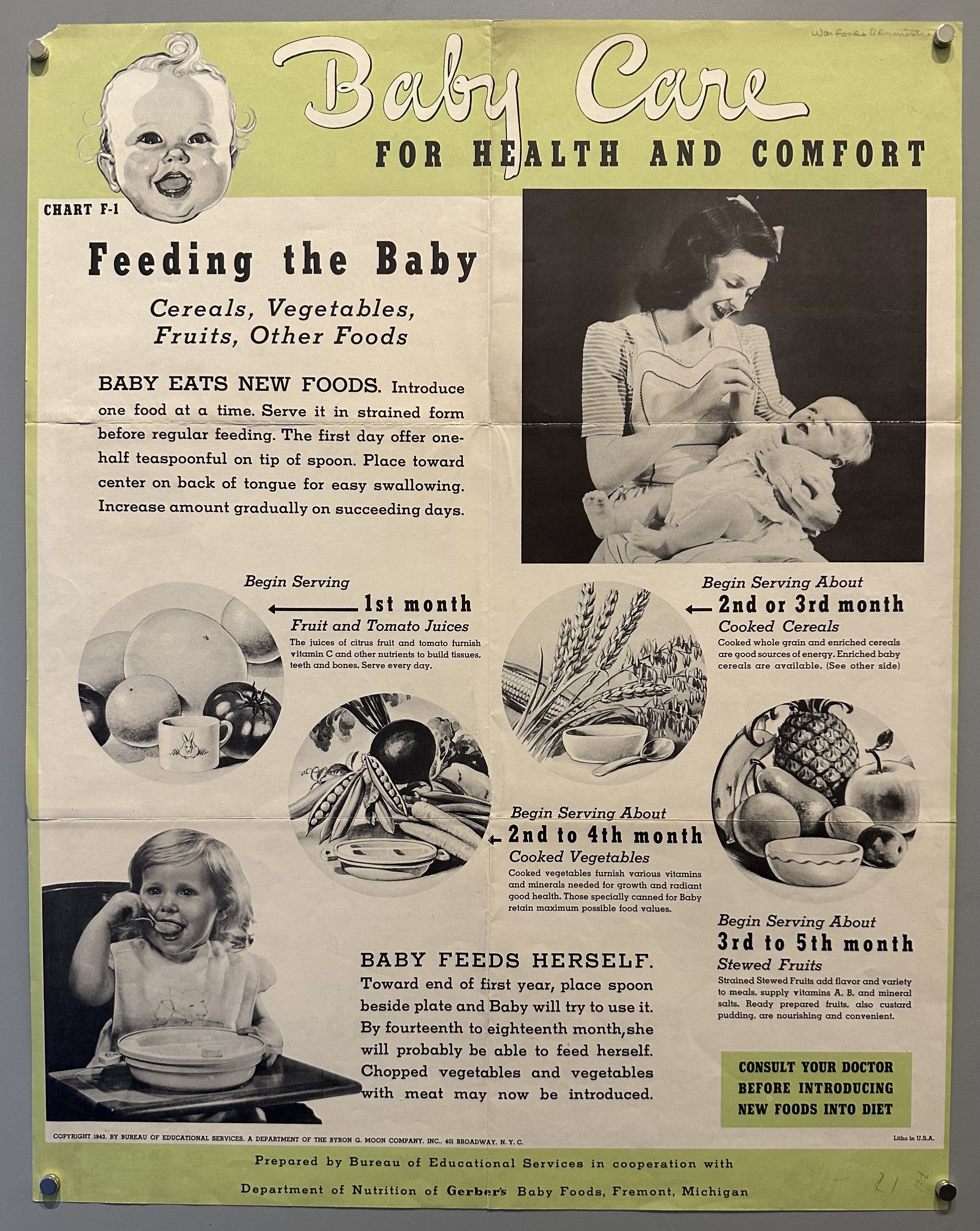 Photographs of mothers and babies eating with black text describing the process of introducing new foods with a light green border.