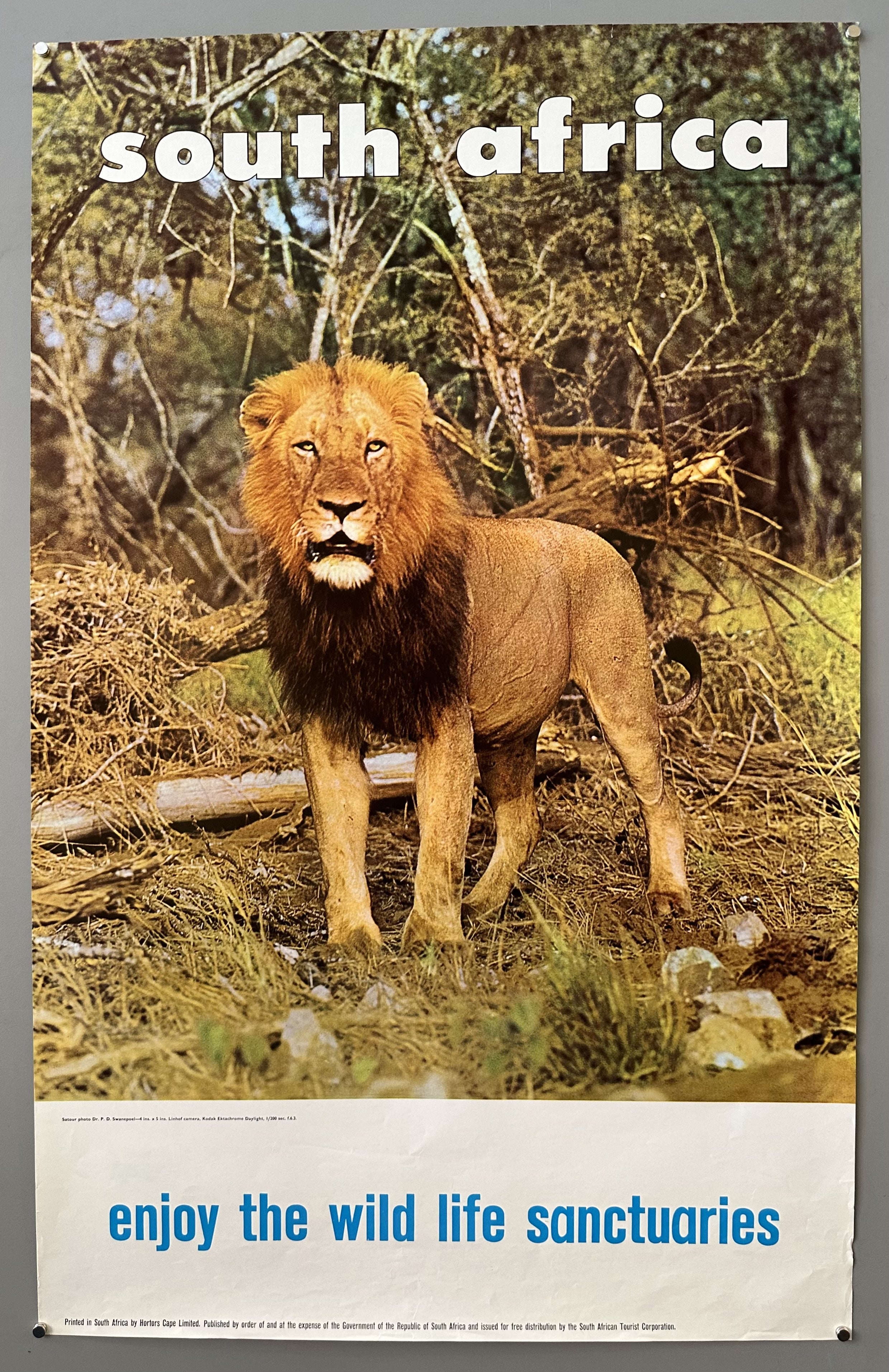 Wild Life South Africa