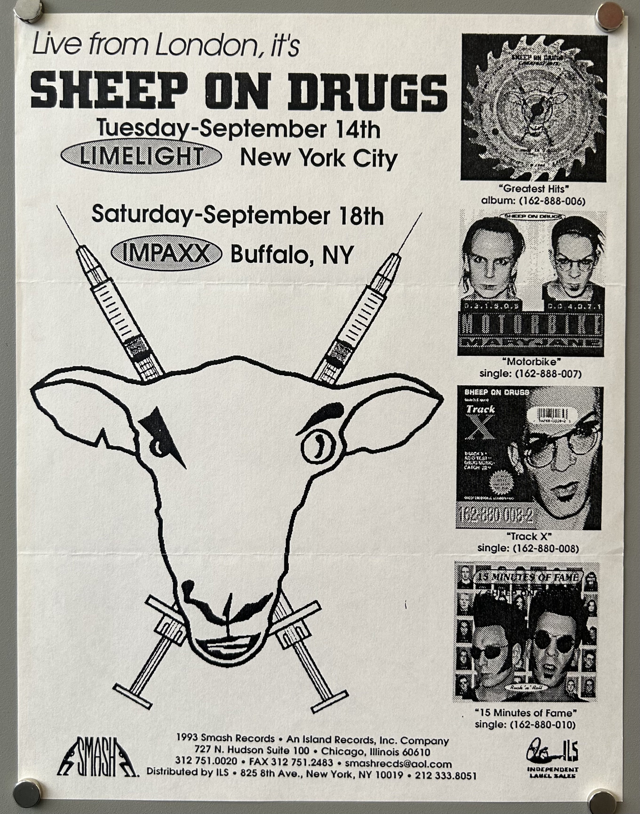 Live from London, it's Sheep on Drugs
