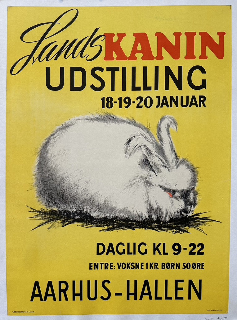 Danish national rabbit exhibition, showing a fluffy white rabbit on a yellow background.