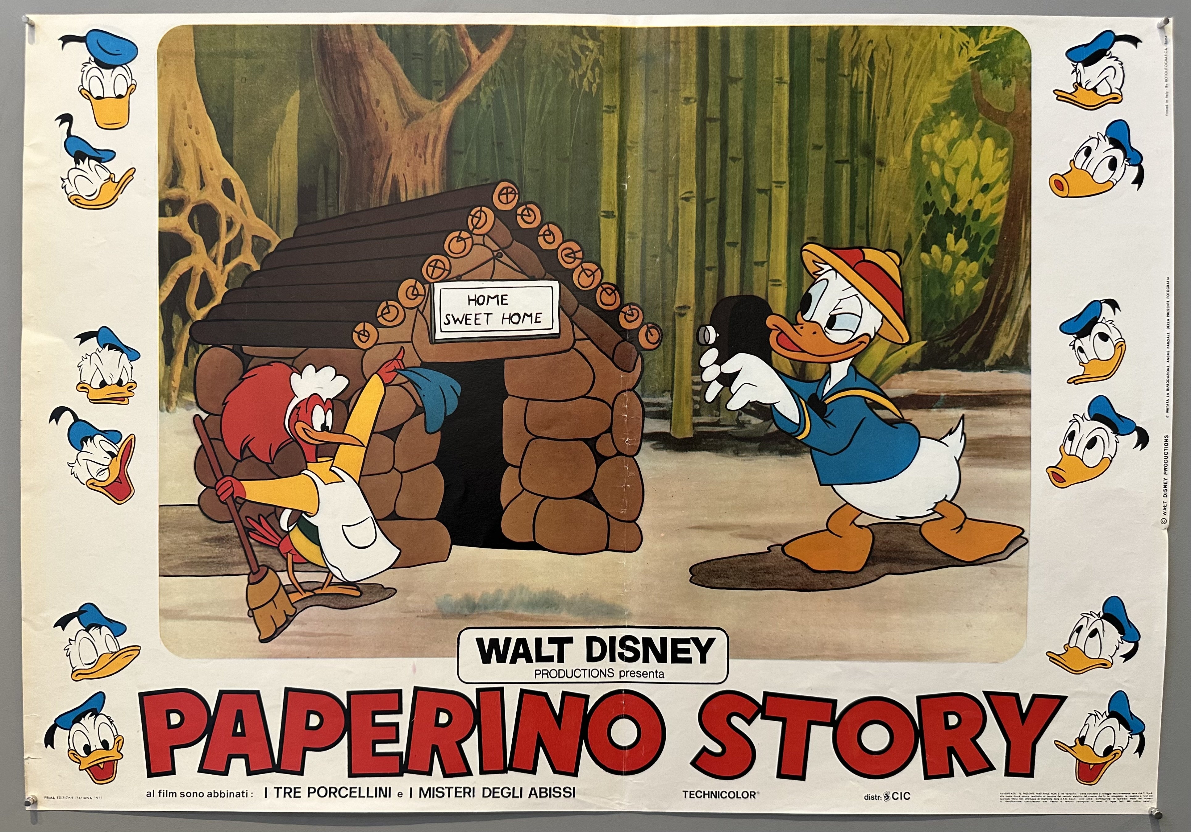 Paperino Story Poster 6