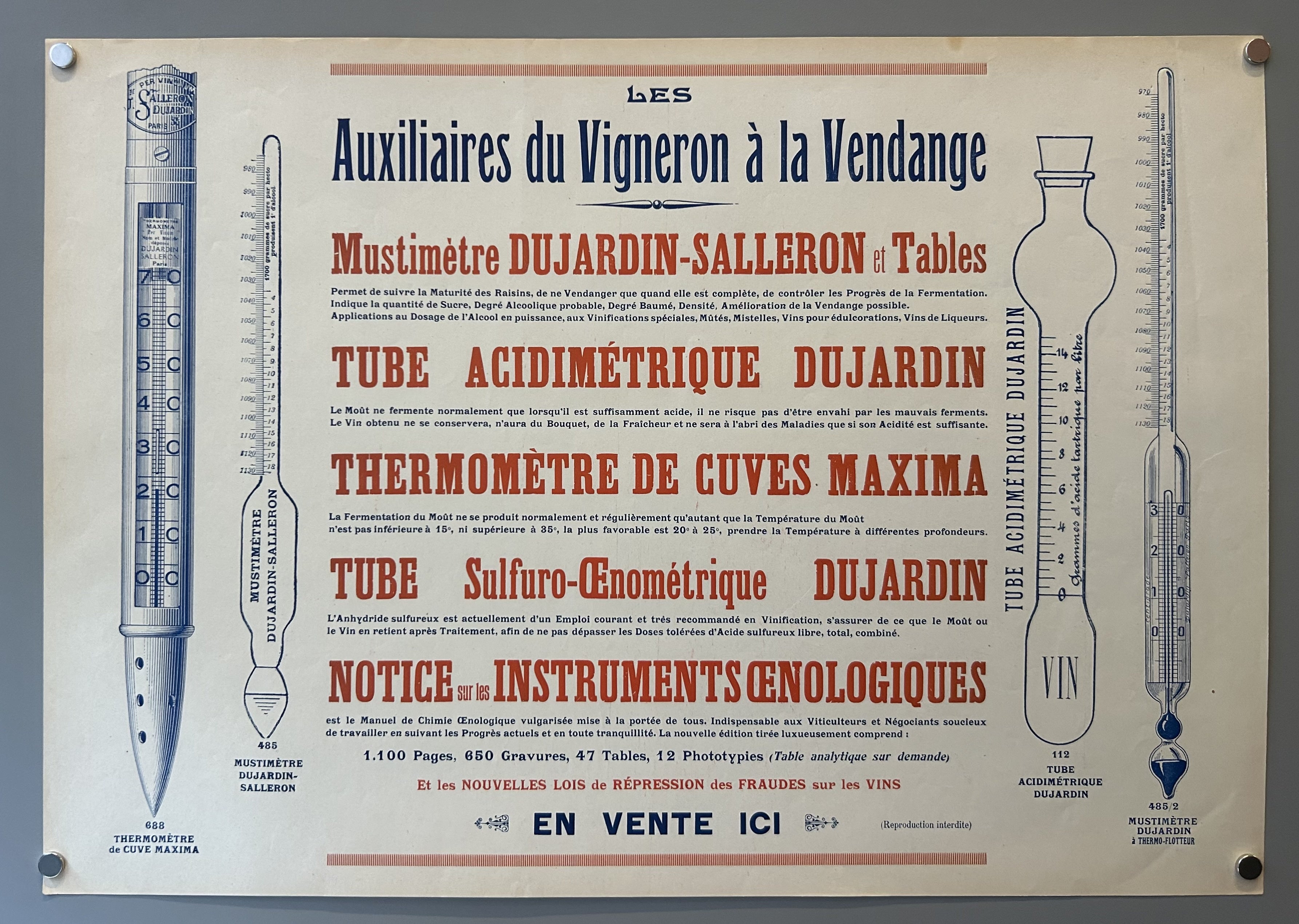 Les Auxiliaires du Vigneron à la Vendange