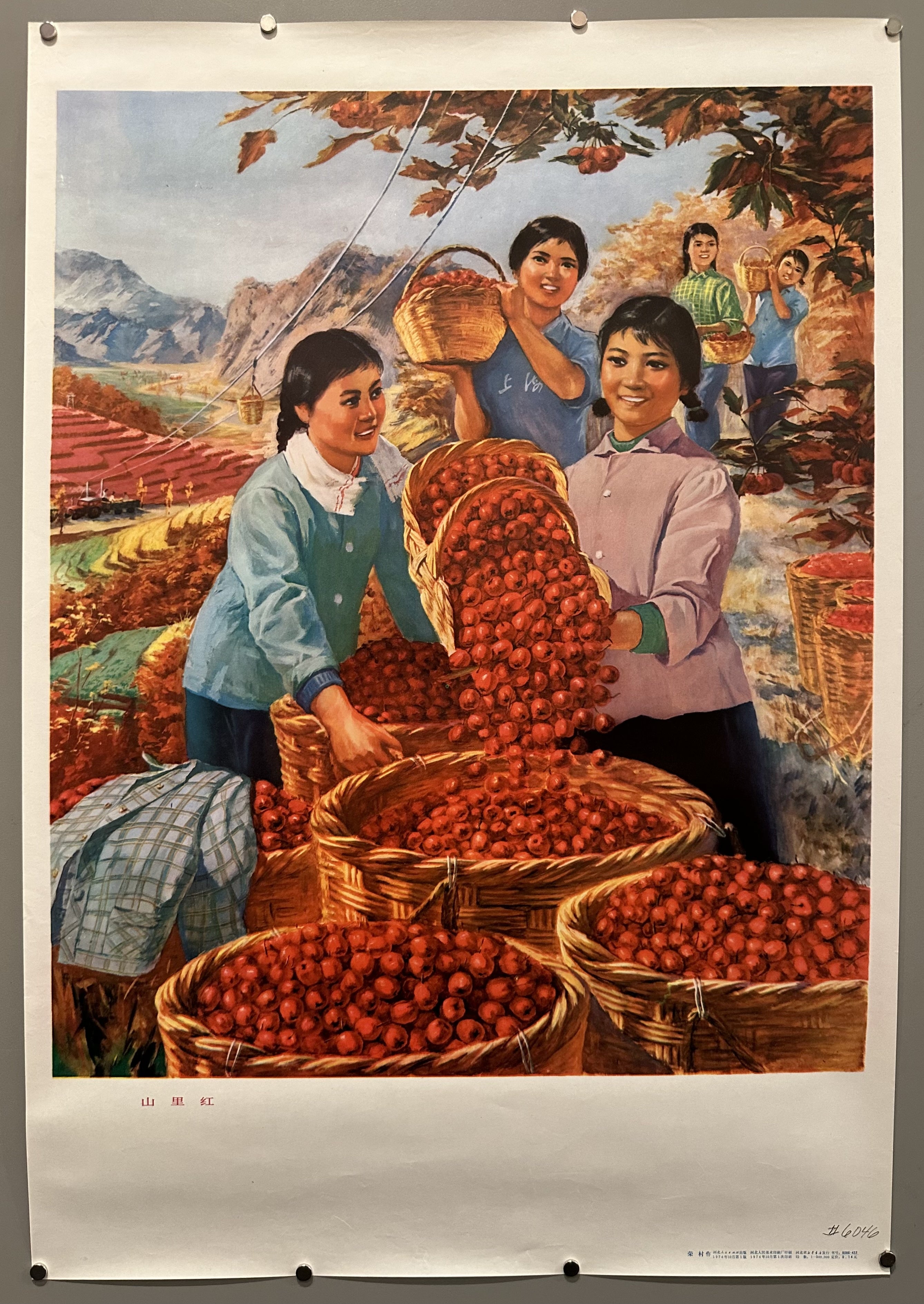 A group of women harvest plums in their mountainous village in the PRC under Mao's rule in this propaganda poster.
