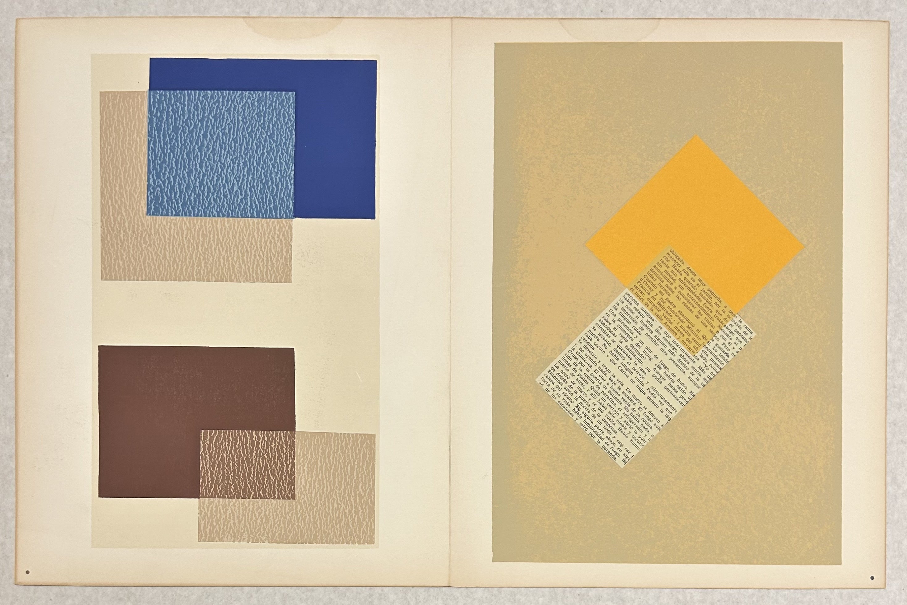 The Interaction of Color Print IX-3
