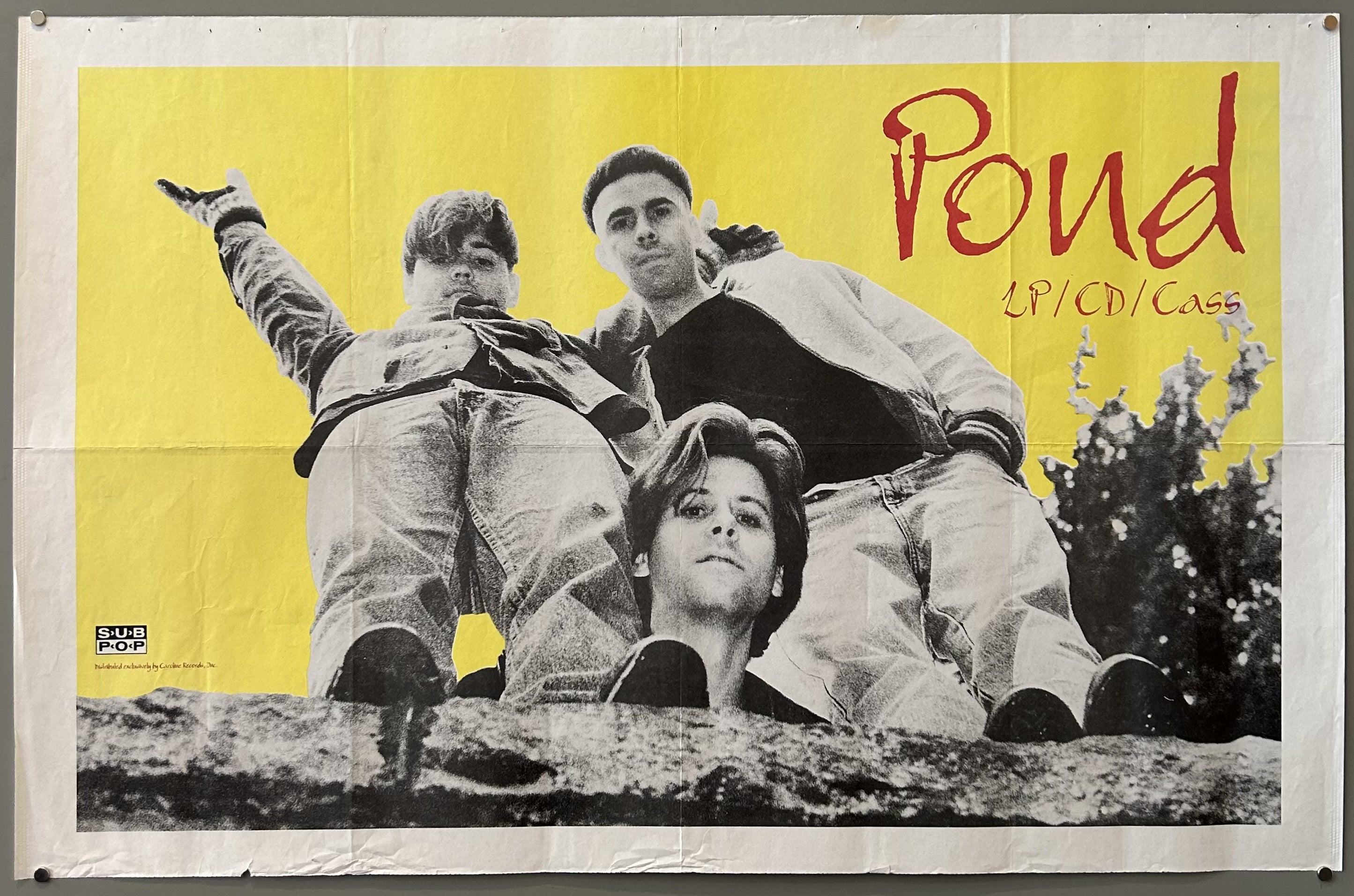 men stand against yellow background