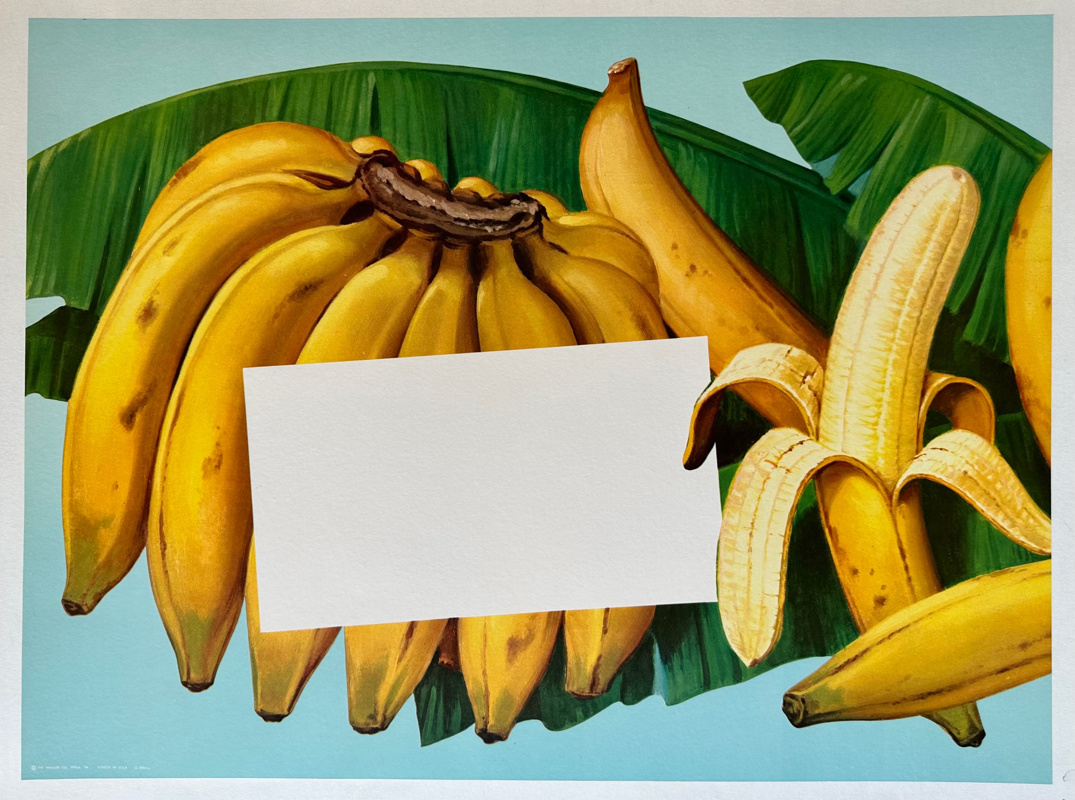 Banana Bunch ✓