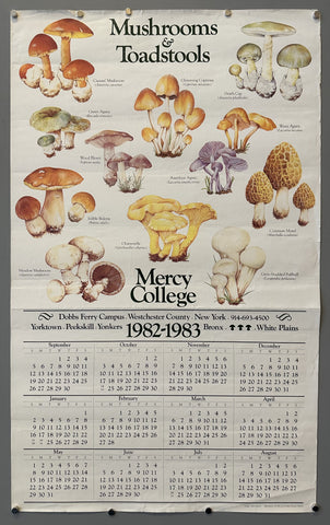 Link to  Mushrooms & ToadstoolsUSA, c. 1982  Product