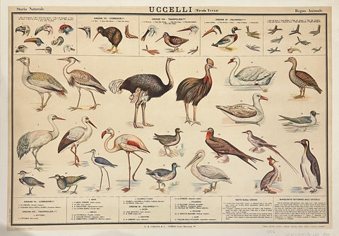 Link to  UCCELLI (Tavola Terza)Italy, c. 1970s  Product