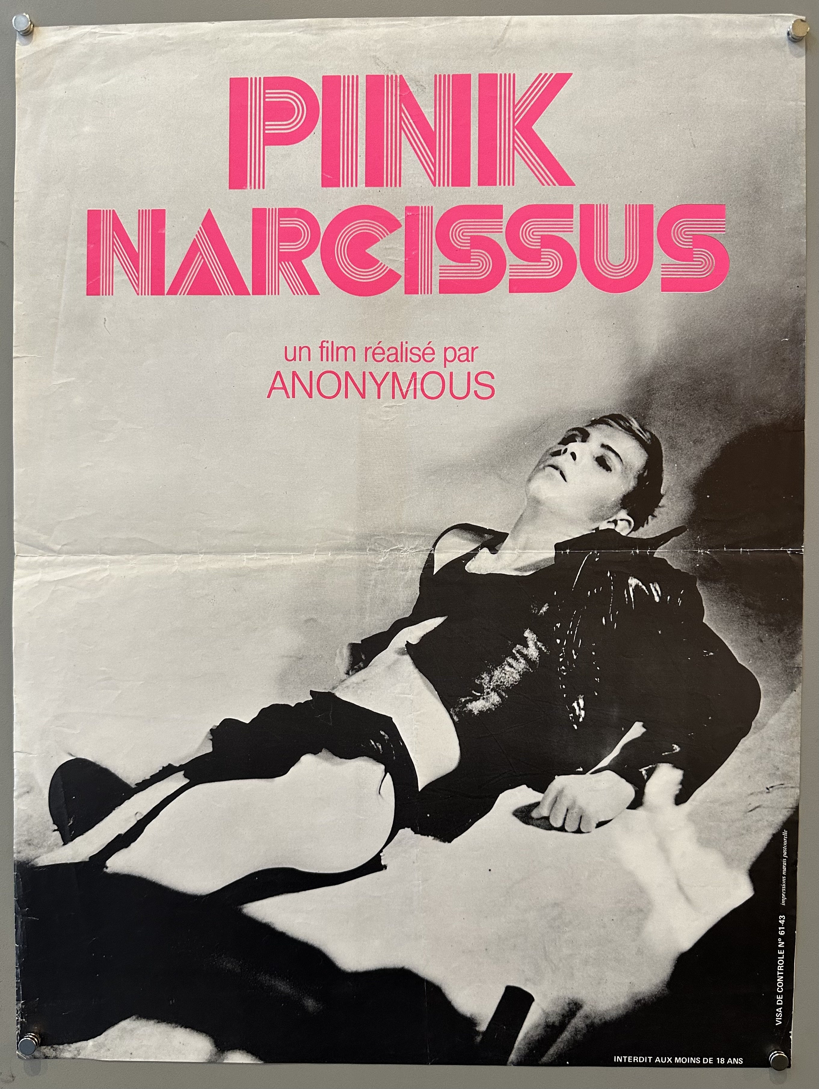 Pink Narcissus
