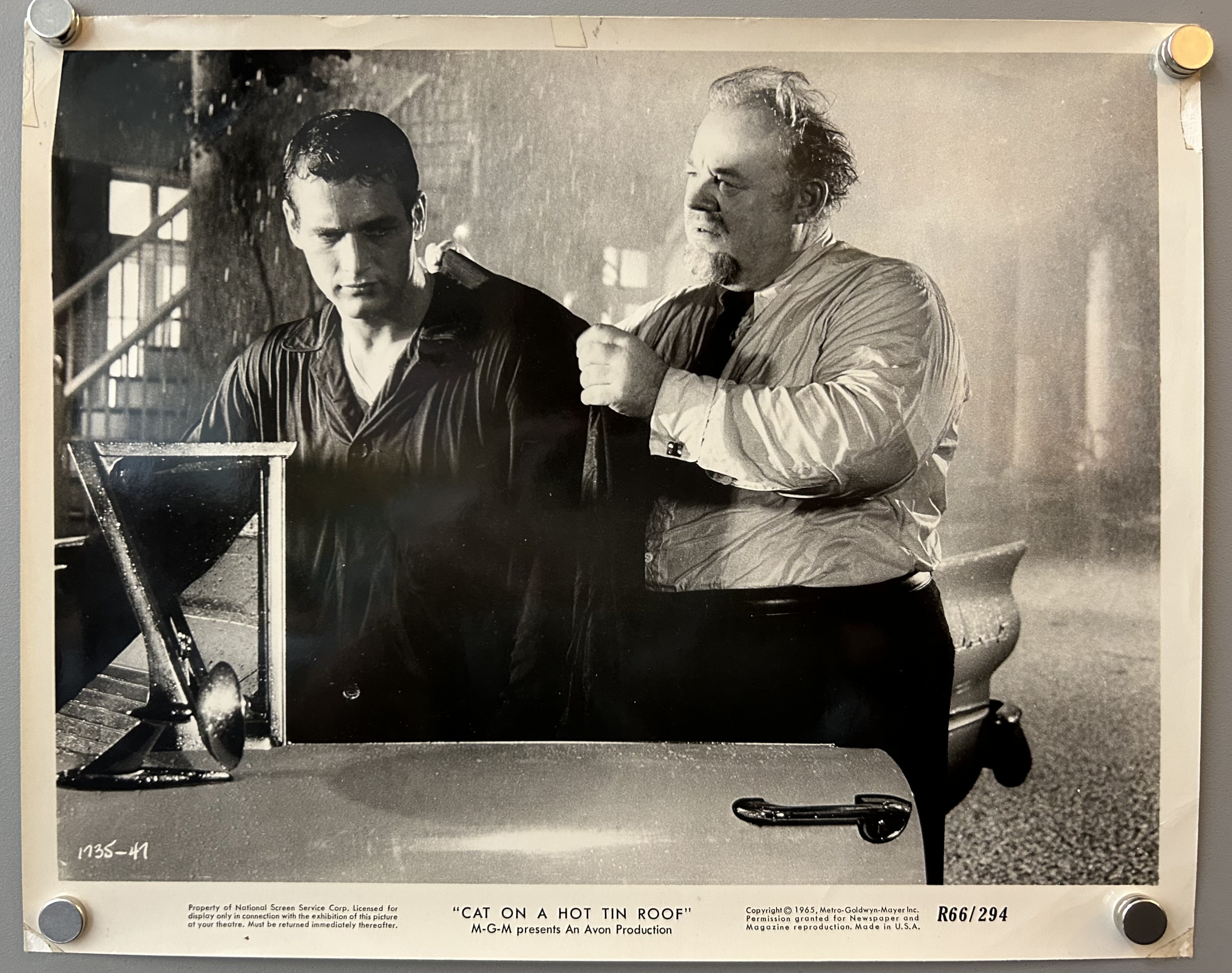 Cat On a Hot Tin Roof Still