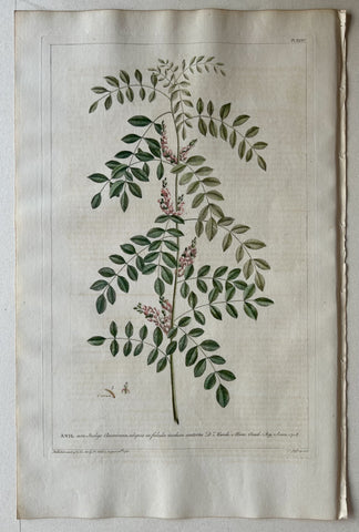 Link to  #34 Anil Indigo AmericanaLondon, 1770  Product