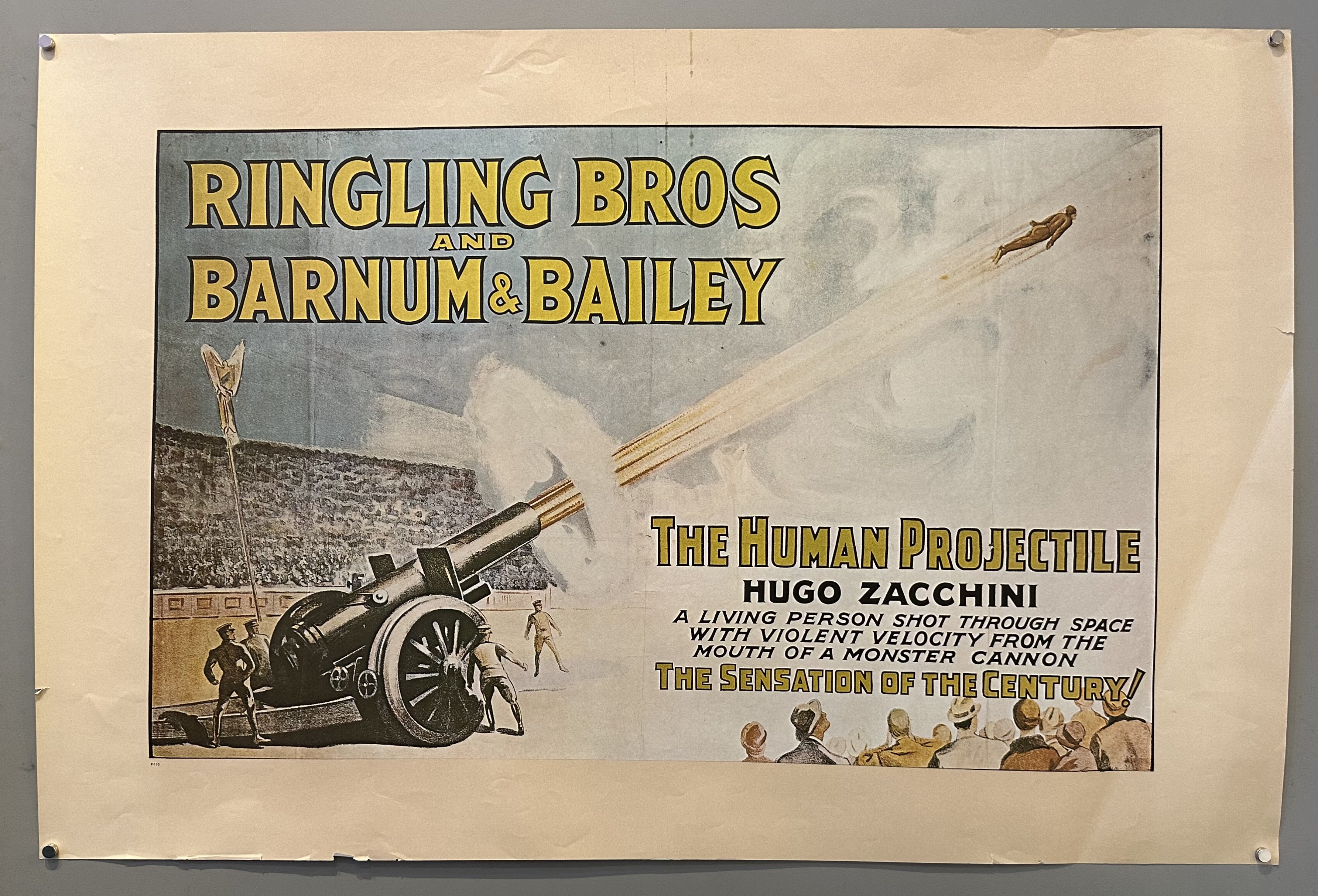 A vintage poster for the Ringling Bros. Barnum & Bailey circus featuring "The Human Projectile, Hugo Zacchini." The poster states, "A living person shot through space with violent velocity from the mouth of a monster cannon. The sensation of the century!".