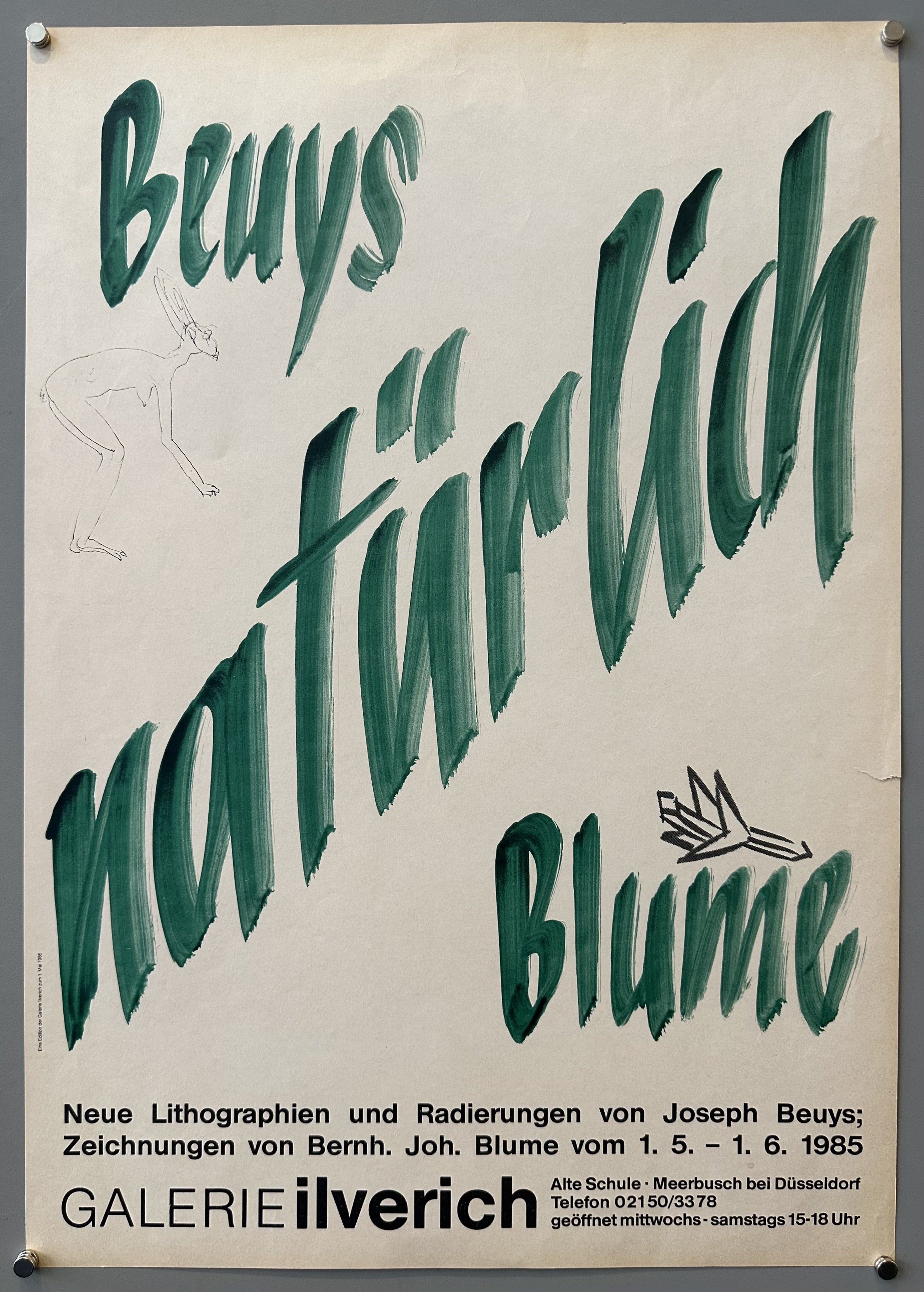 Beuys Natürlich Blume