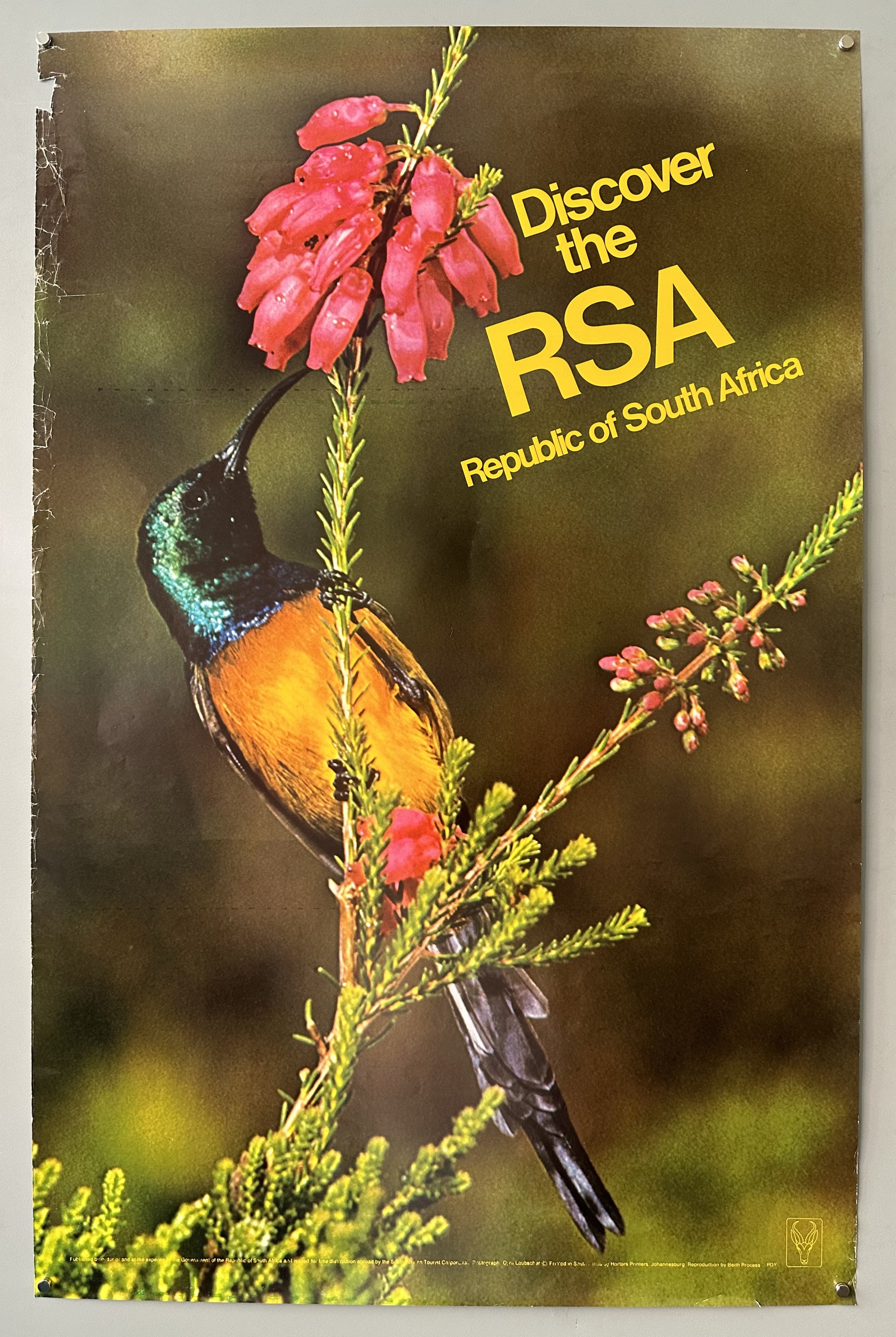 Discover the RSA