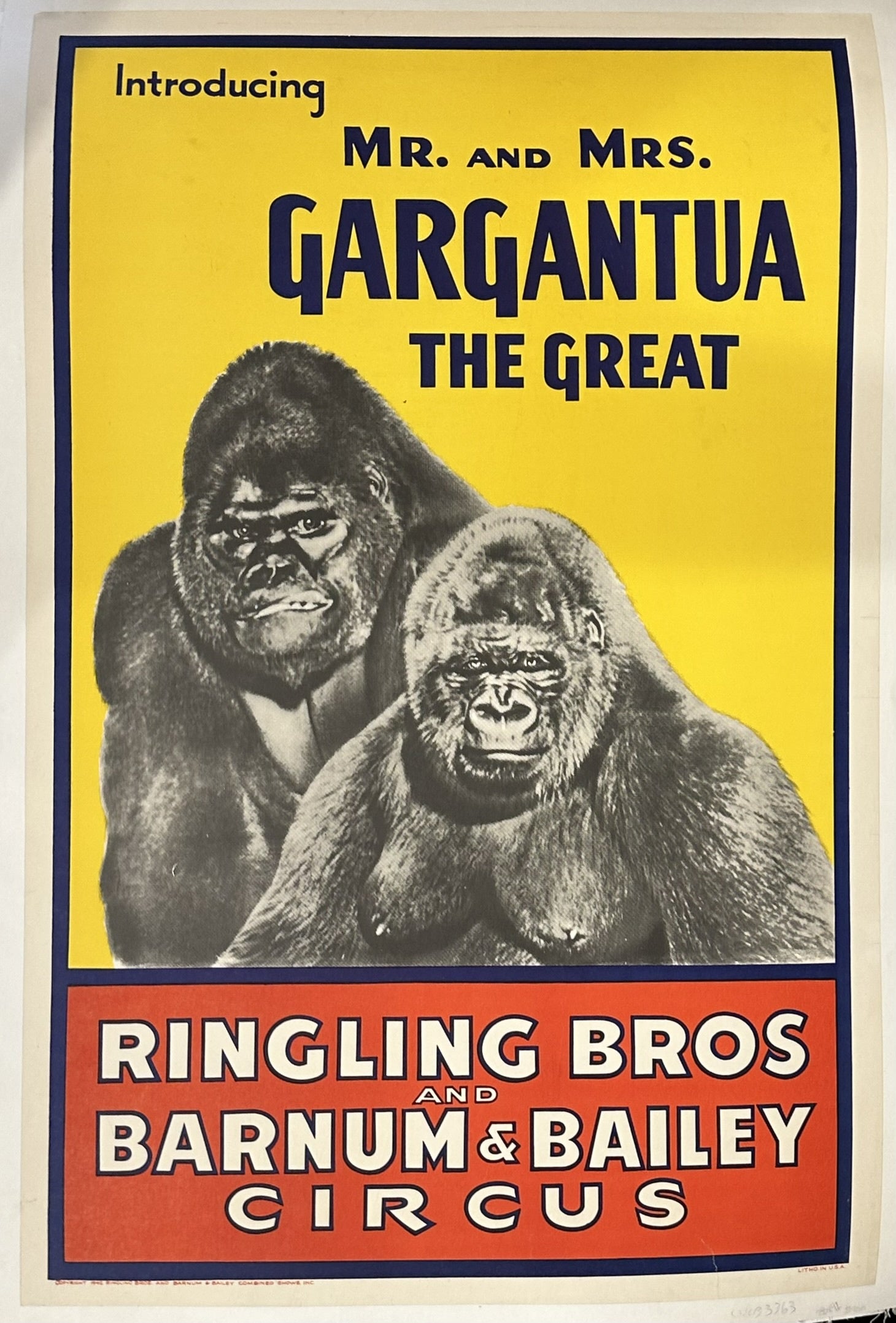 Gargantua, a gorilla known as "The World's Most Terrifying Living Creature," was part of the Ringling Bros. and Barnum & Bailey Circus between 1938 and 1949.