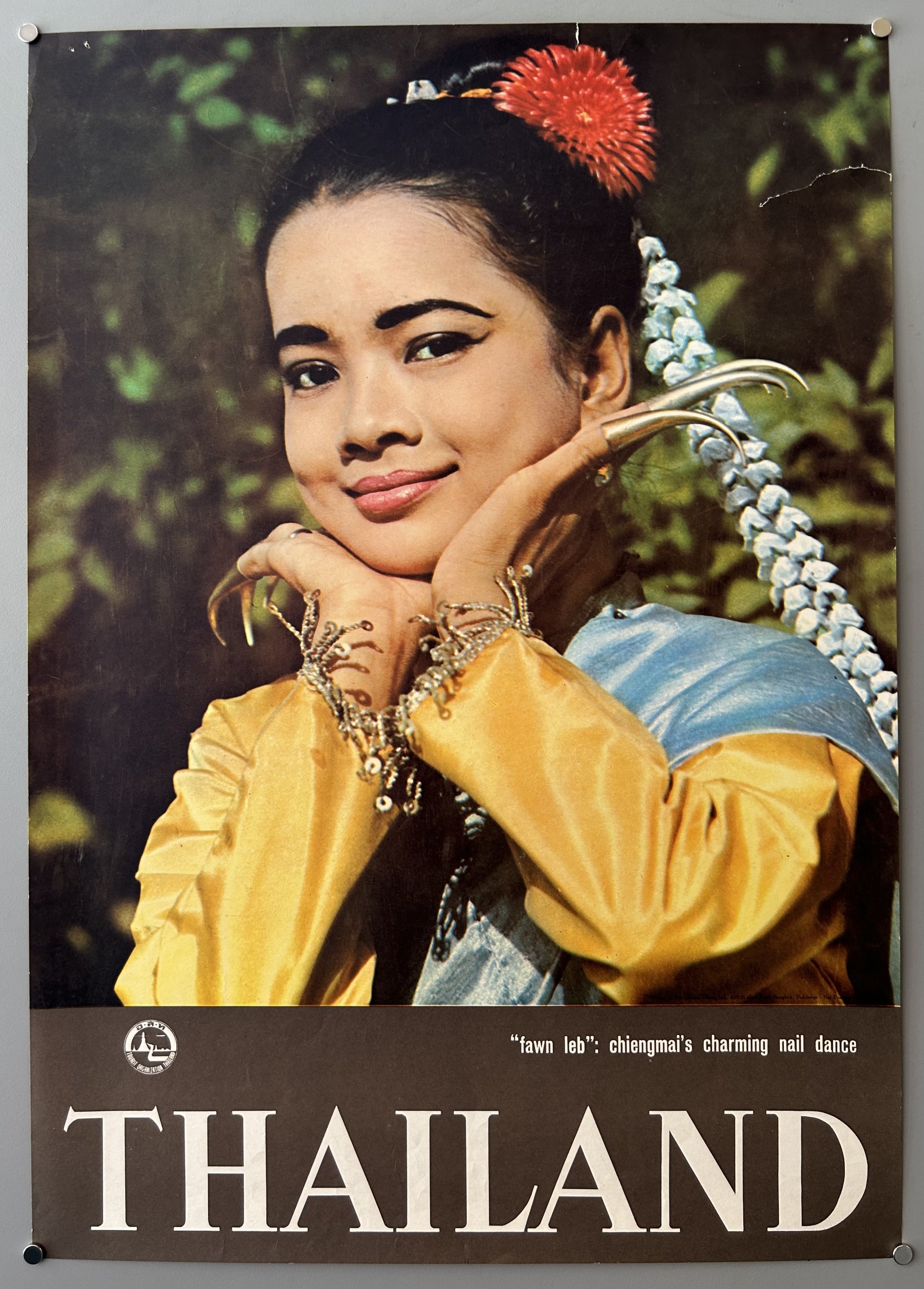 Thailand Fawn Leb