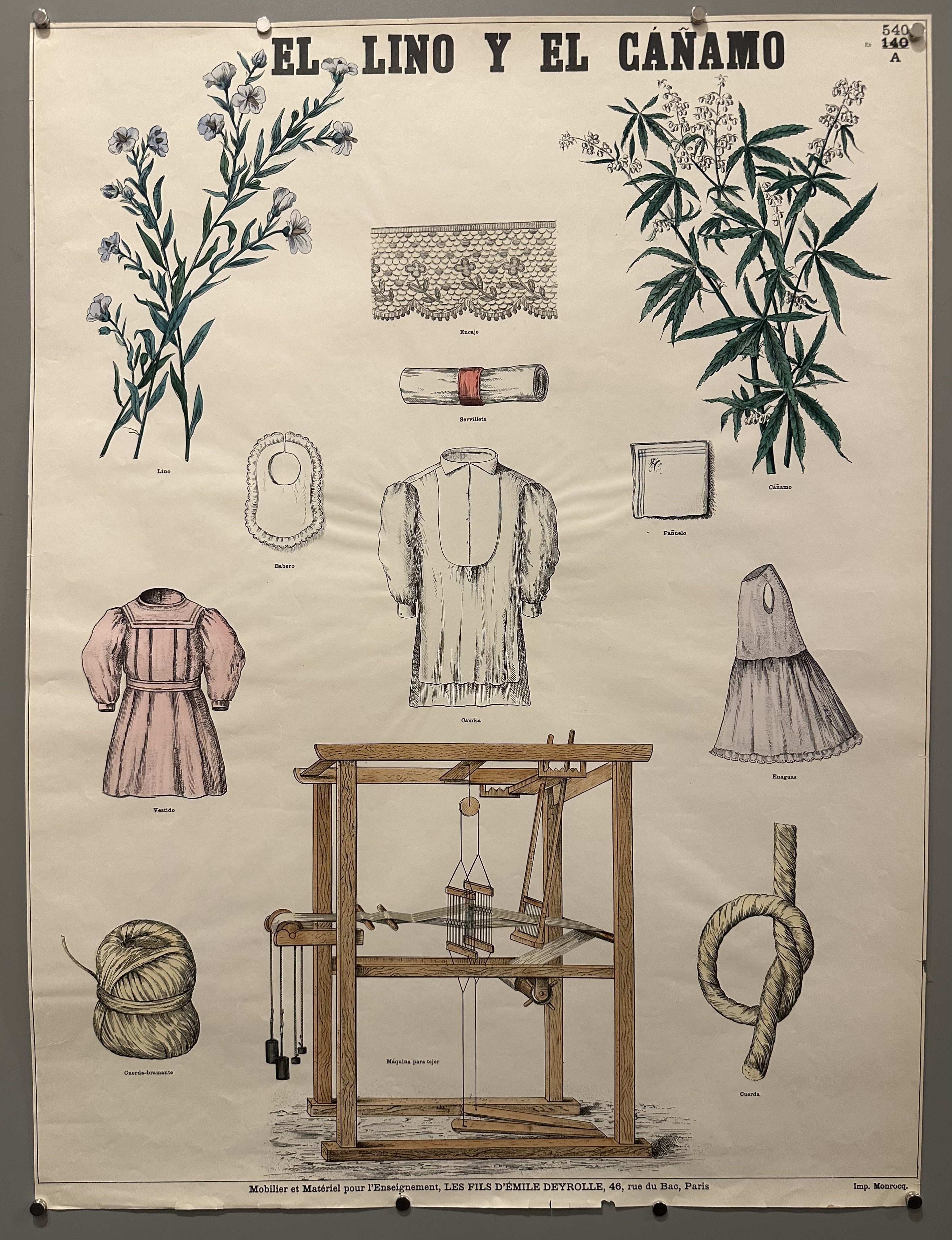 Illustrated standalone types of clothing with Spanish captions to help children learn what they are called.