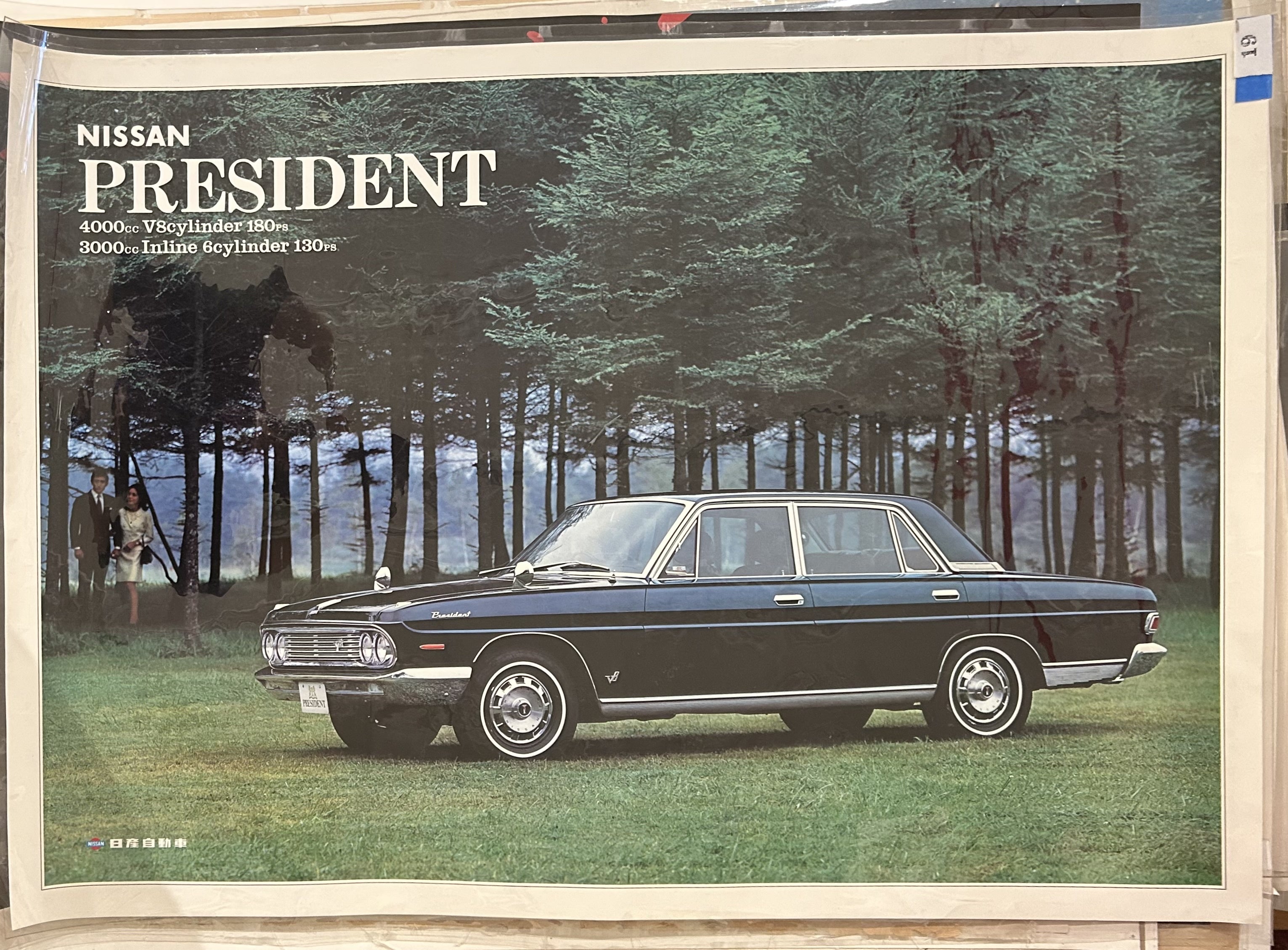 car in front of woods