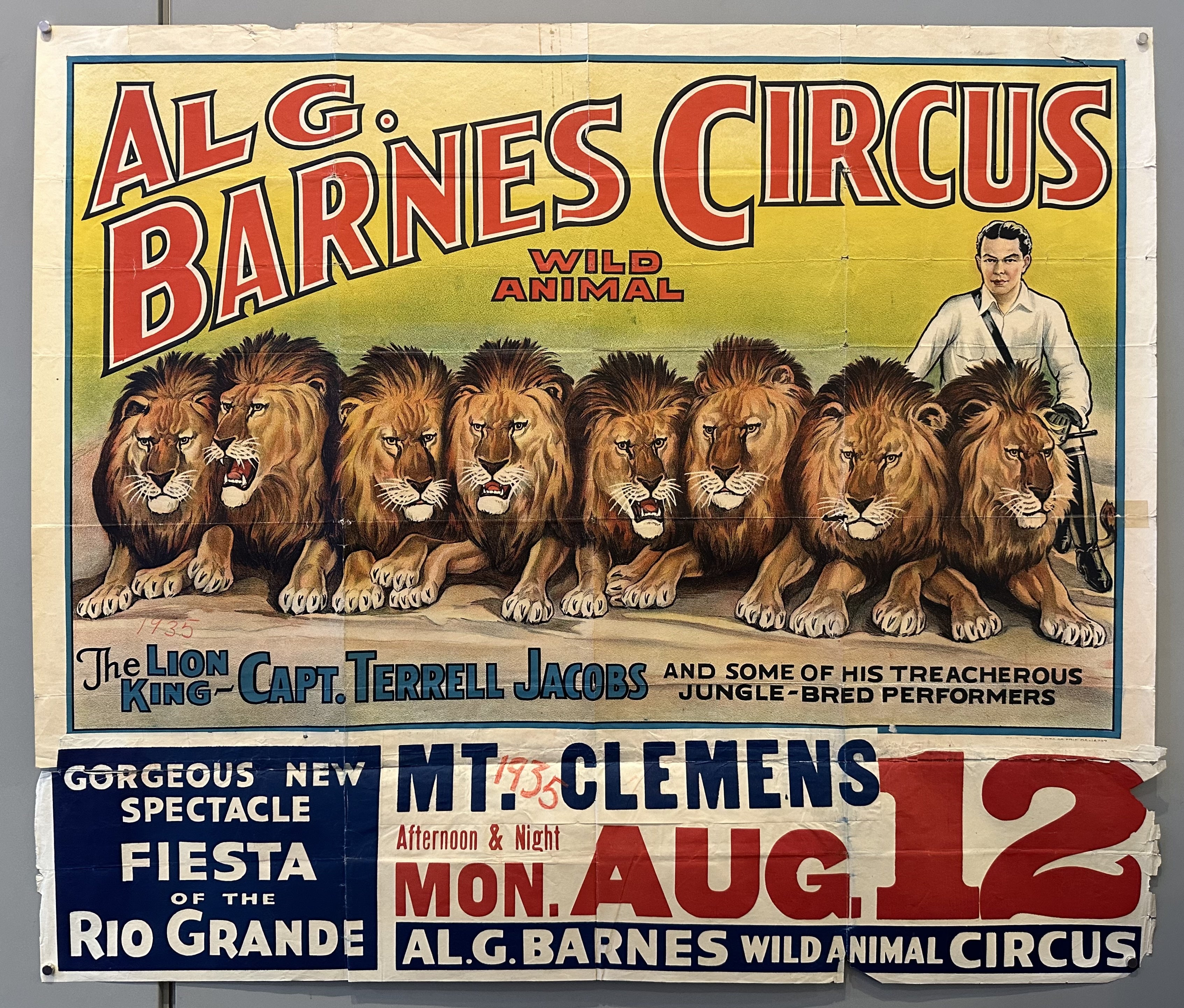 Eight lions are illustated sitting in front of a man in a vintage circus poster.