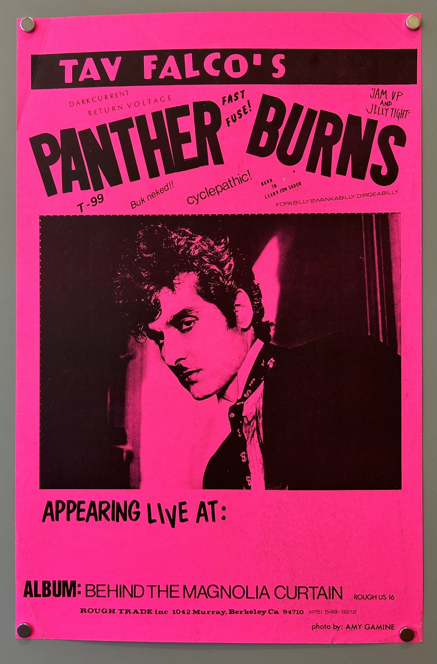 the monochromatic pink and black scheme, combined with the intense gaze of Tav Falco in the central image, reflects the band's enigmatic and "art-damaged" aesthetic, rooted in performance art and Memphis music history.