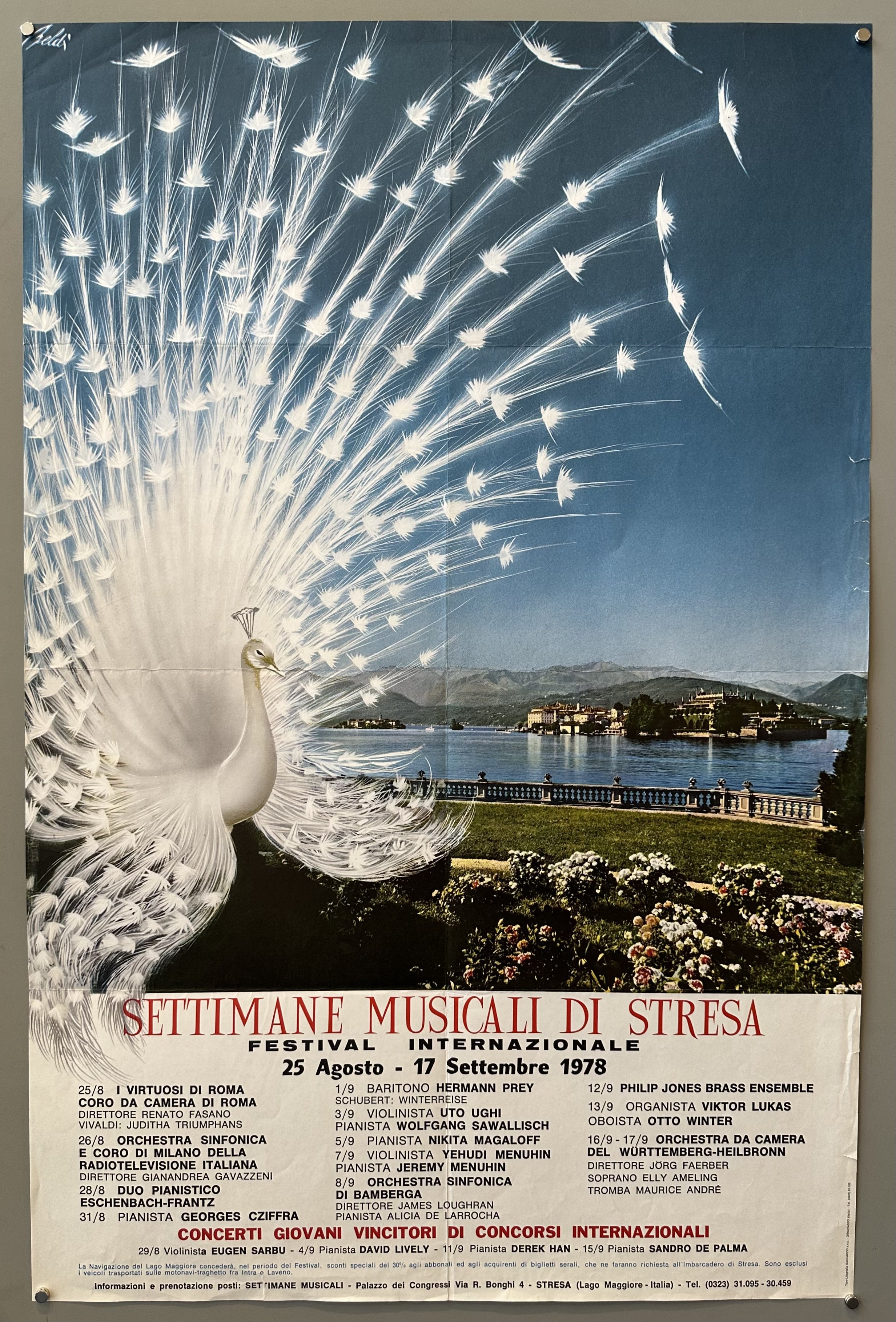 Illustrated white peacock against photo of Lake Maggiore in Italy where the Settimane Musicali Di Stresa is held each year.