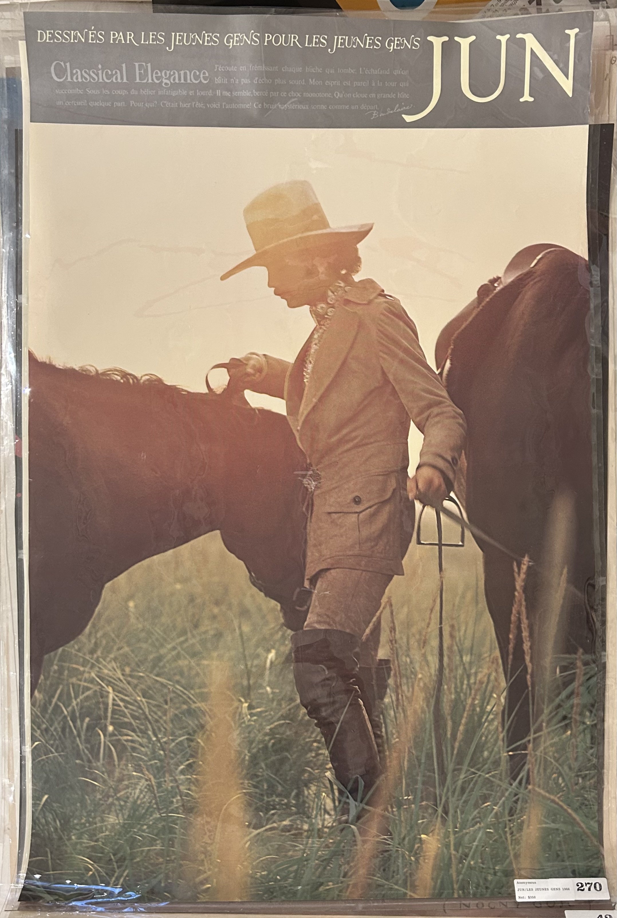 horse and man