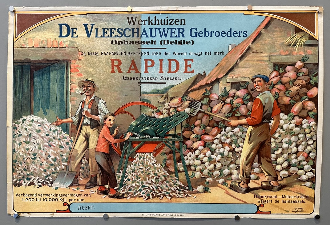 A vintage advertising poster for "Werkhuizen De Vleeschauwer Gebroeders" from Ophasselt, Belgium, promoting their "RAPIDE" patented system beet shredder (RAAPMOLEN-BEETENSNIJDER). The illustration depicts two men and a boy using the machine to process beets, with piles of whole and shredded beets surrounding them.