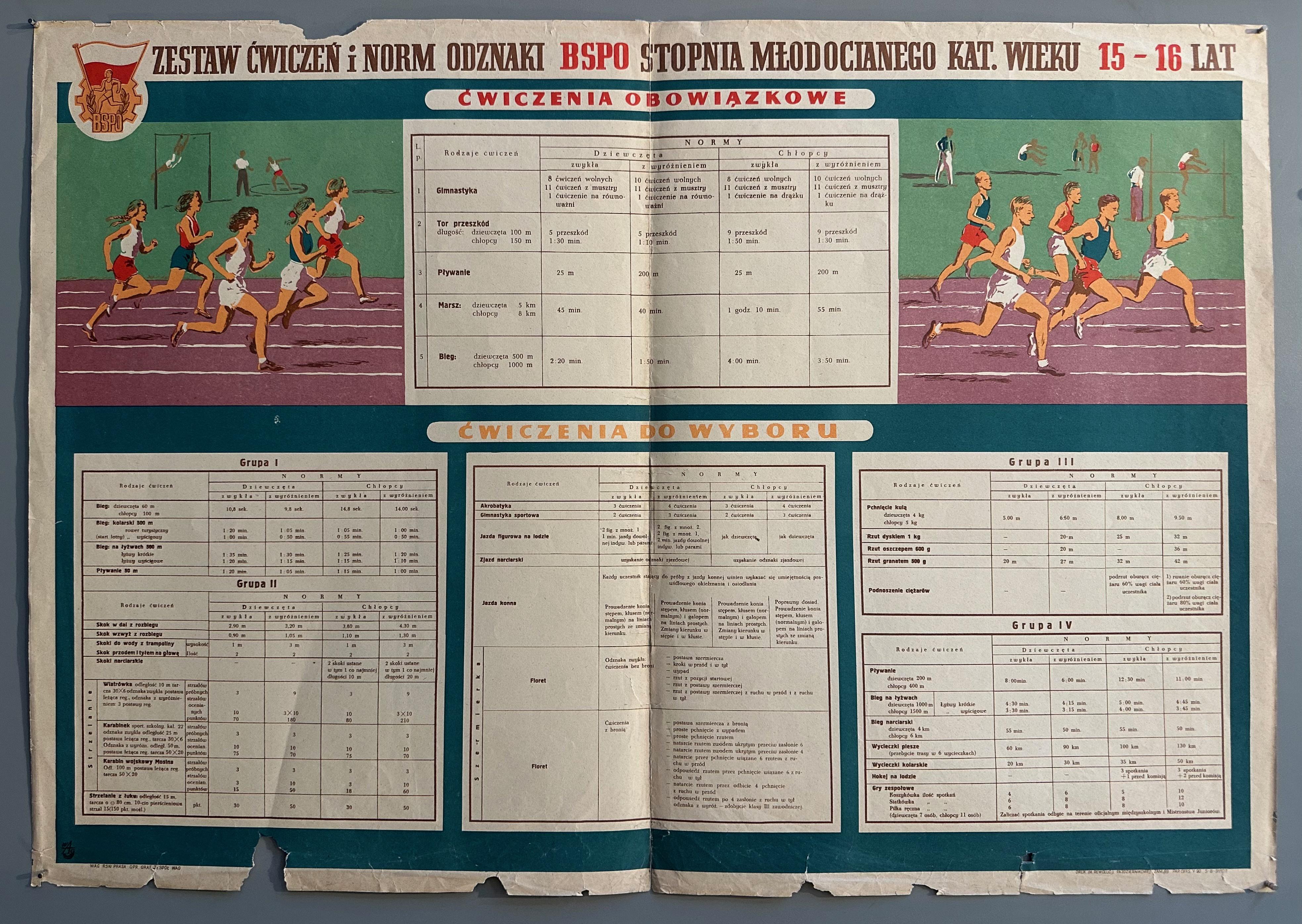 Polish Exercise Poster