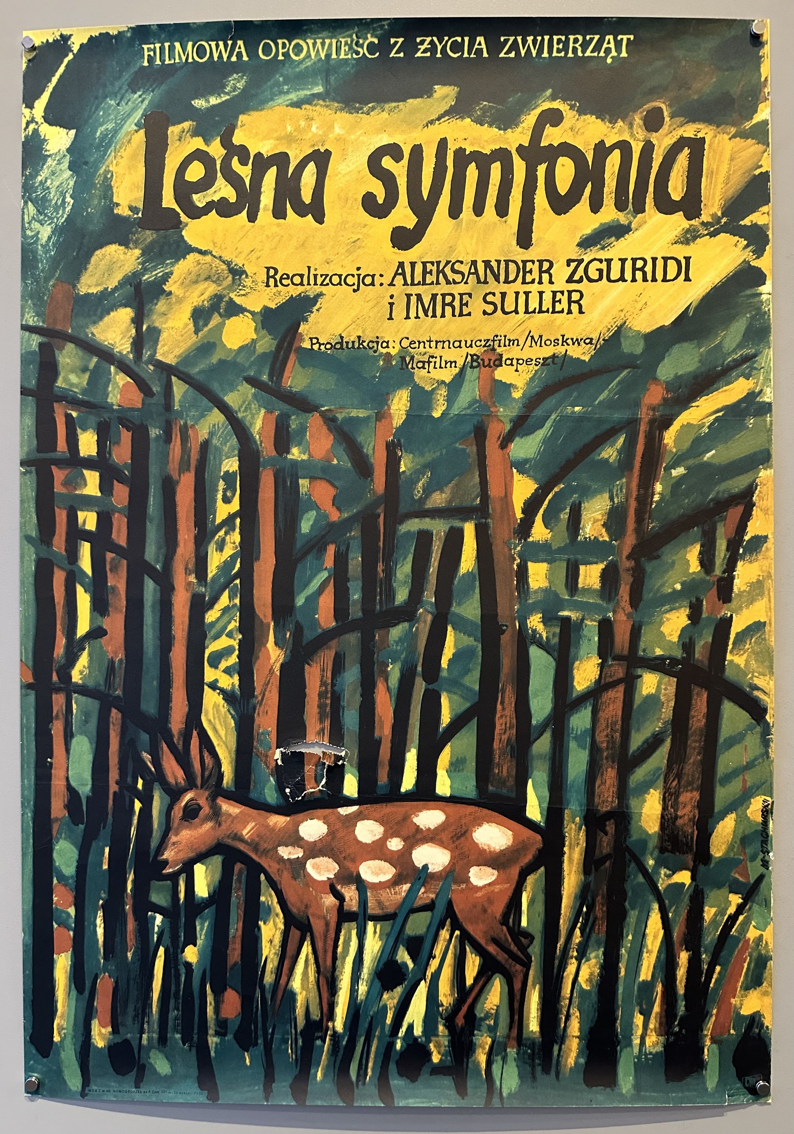 A poster for the film 'Lesna Symfonia' (Forest Symphony), featuring a painting of a deer in a forest. The text reads: 'FILMOWA OPOWIEŚĆ Z ZYCIA ZWIERZĄT Lesna symfonia Realizacja: ALEKSANDER ZGURIDI i IMRE SULLER Produkcja: Centrnauczfilm/Moskwa/ Mafilm/Budapeszt.'.