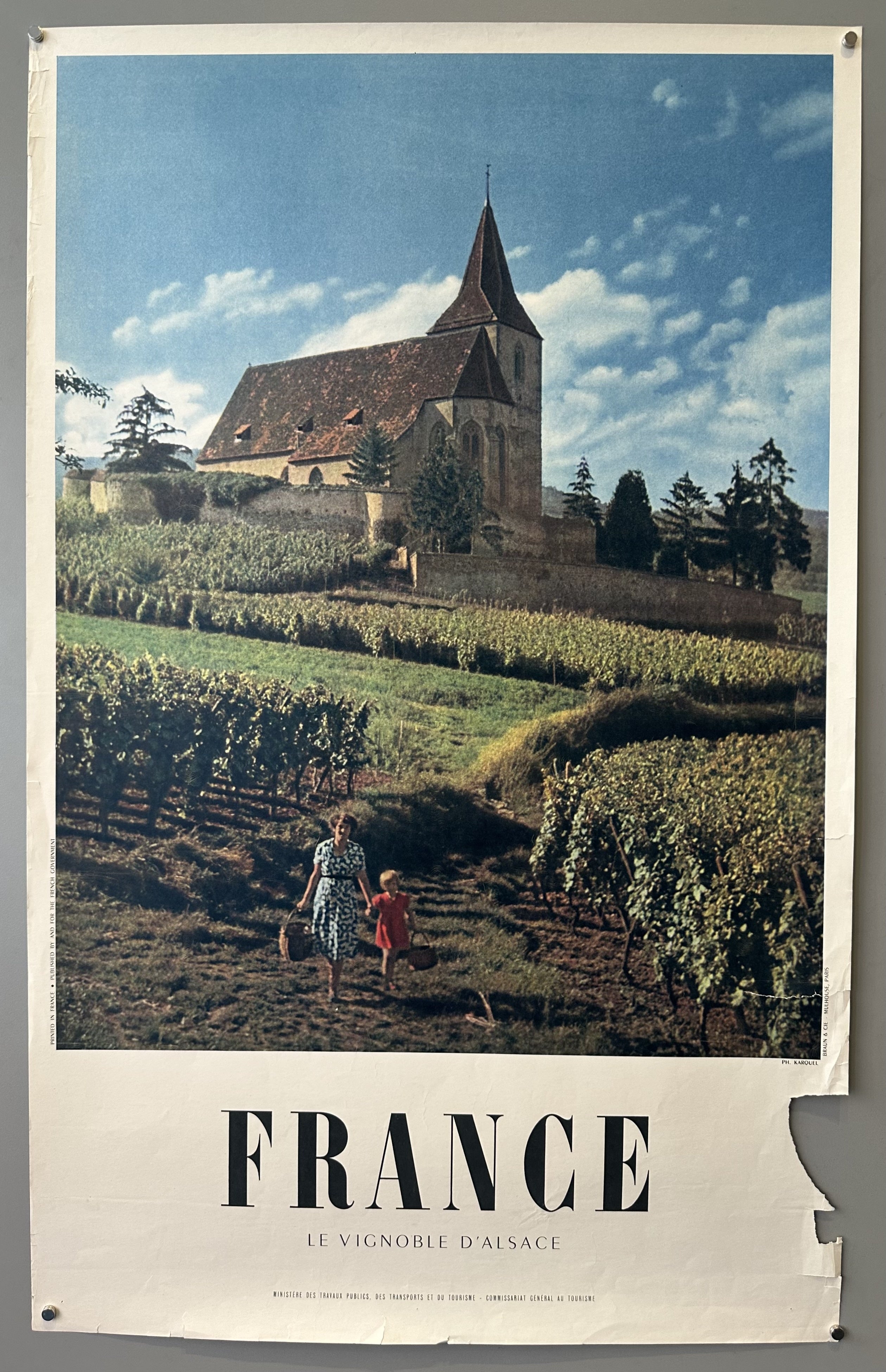 LE VIGNOBLE D'ALSACE