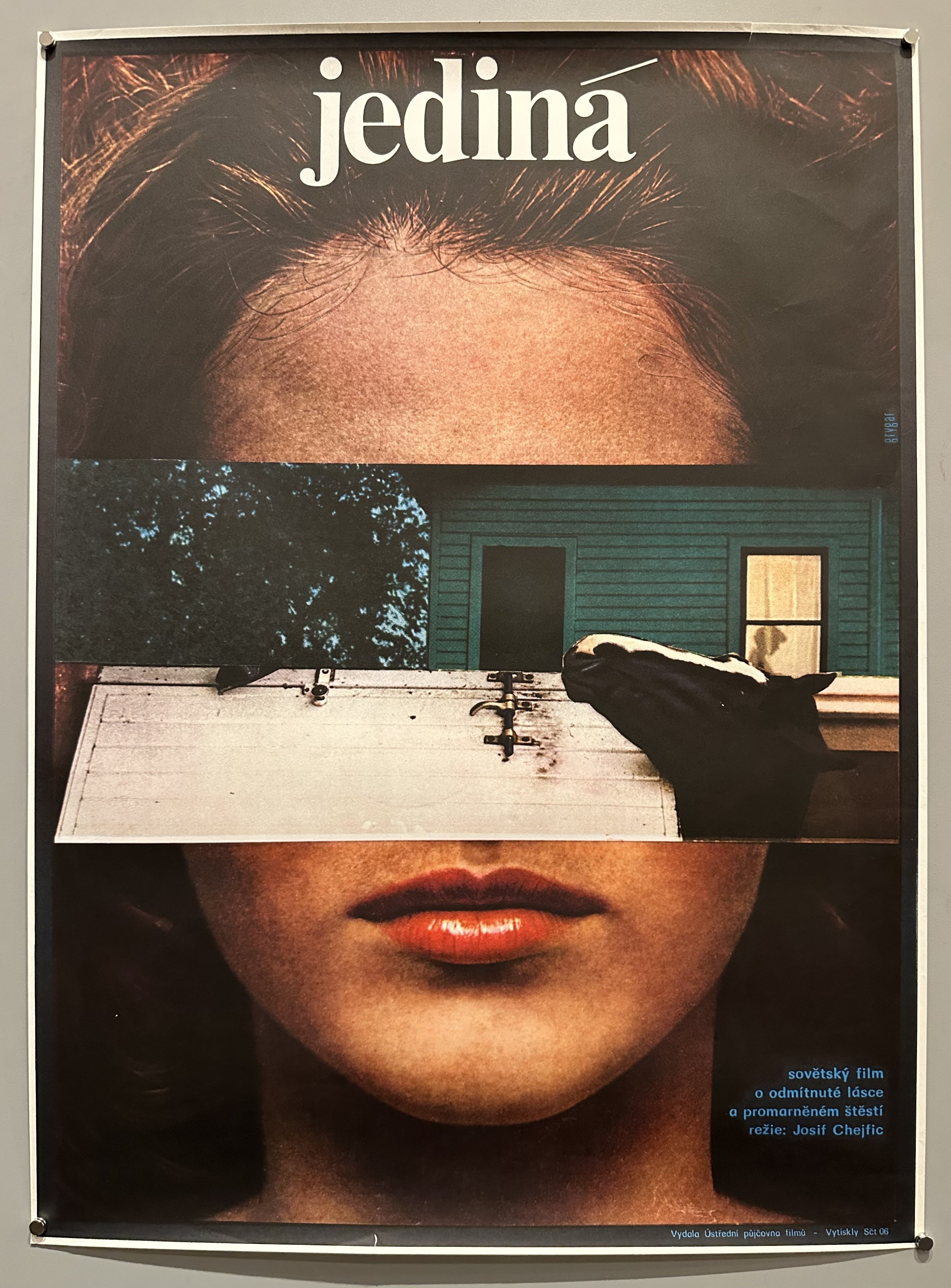 Woman with face blocked by an image of a horse head in front of a house with a boy in the house being seen through the window.