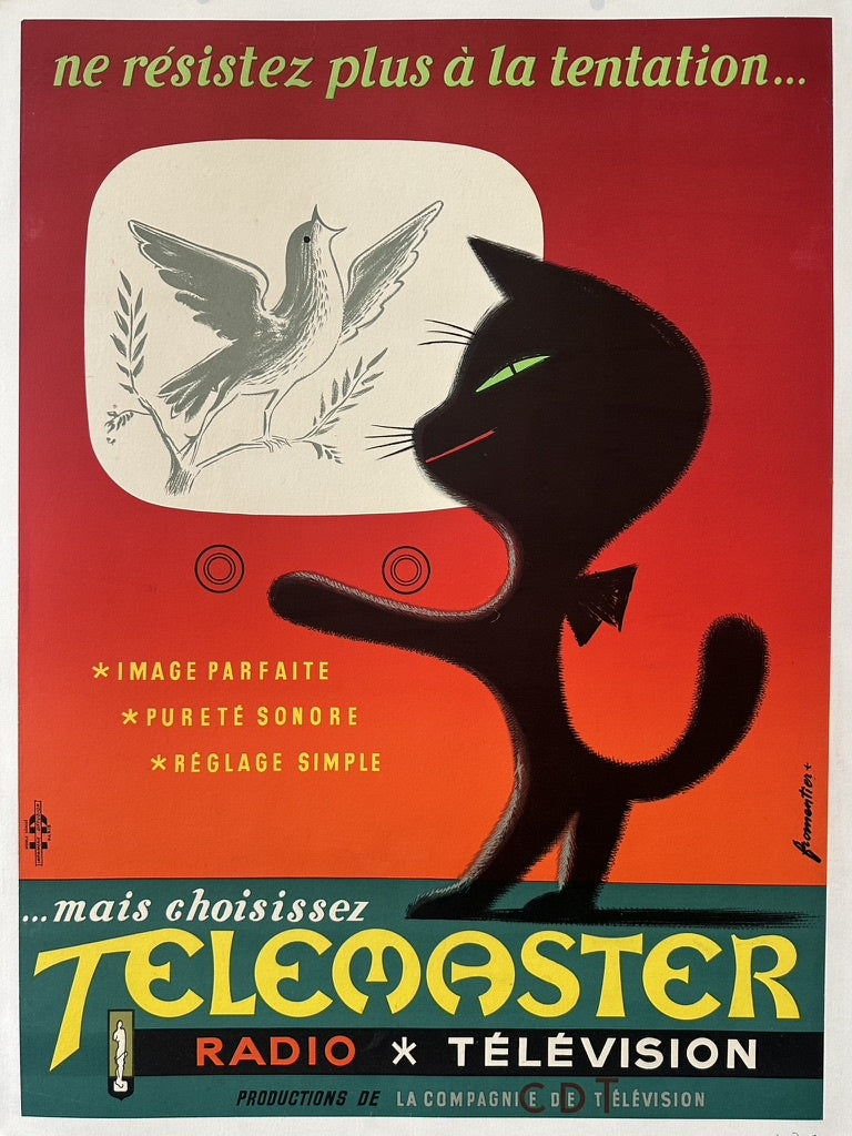 Black cat looking at a tv promoticting telemaster