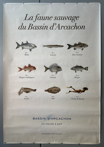 Link to La Faune Sauvage du Bassin d'Arcachon #1France, c. 2010s Product