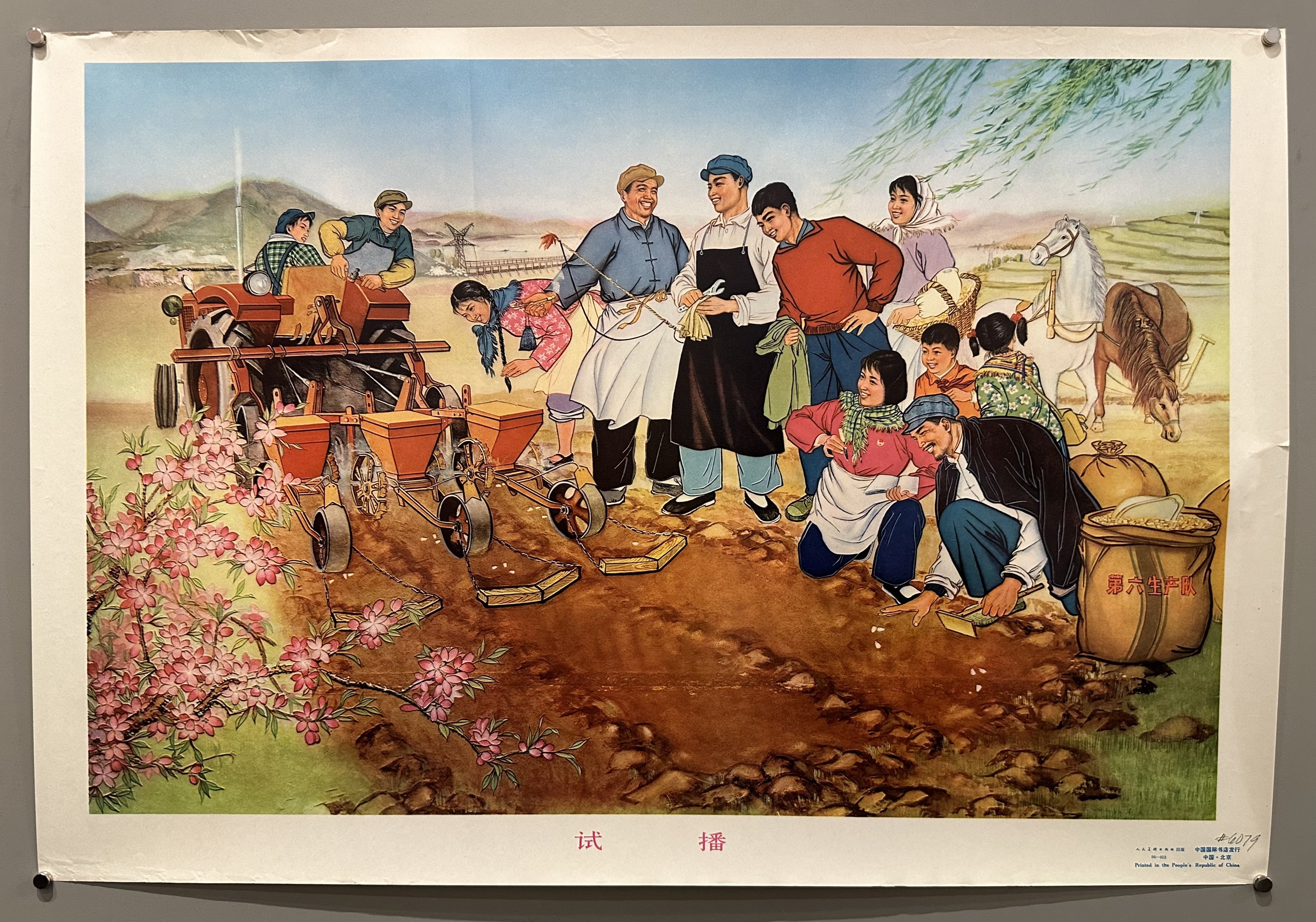 A group of villagers perform a sowing test to show how fruitful the land is under Mao's rule.