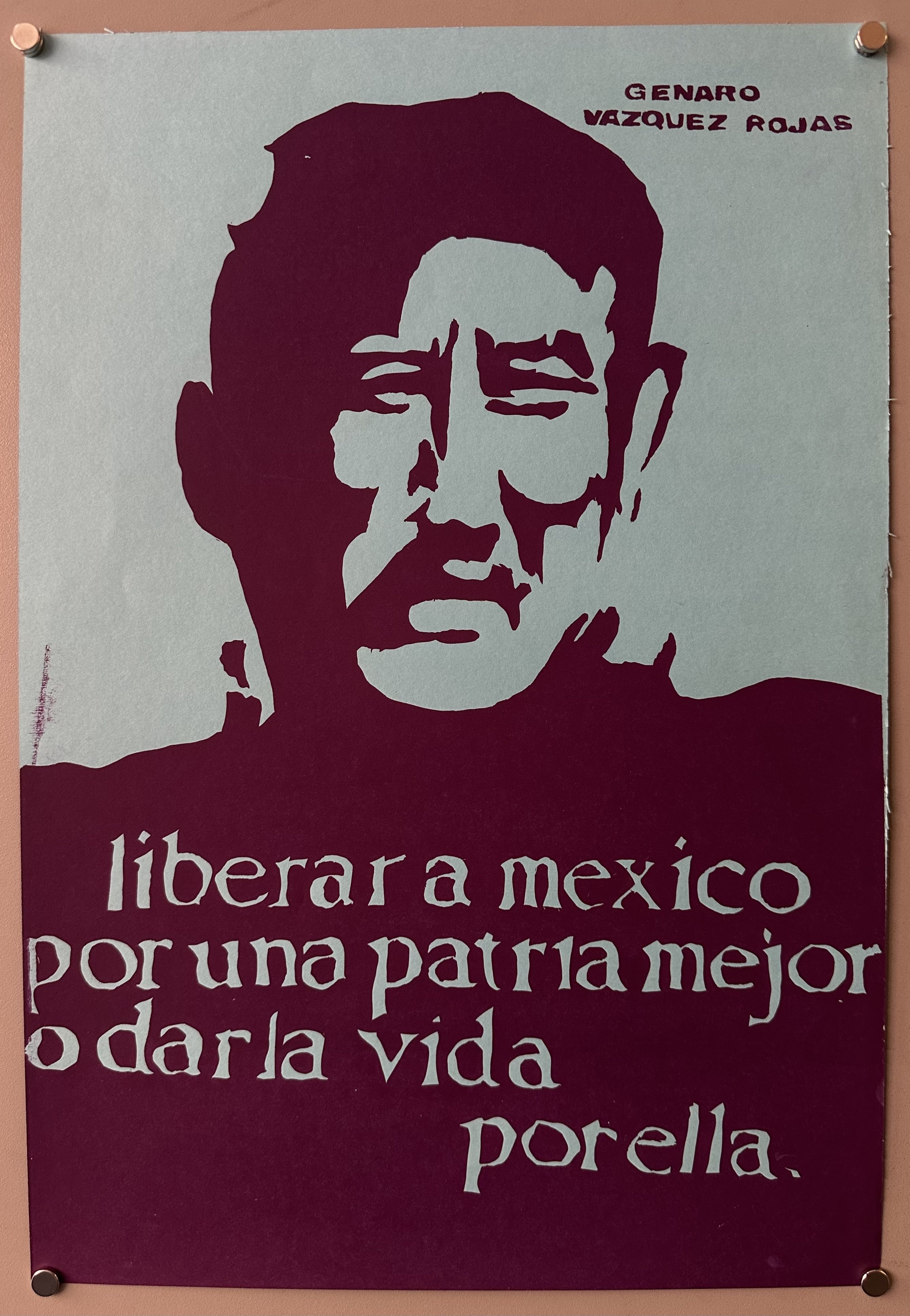 Genaro Vázquez Rojas