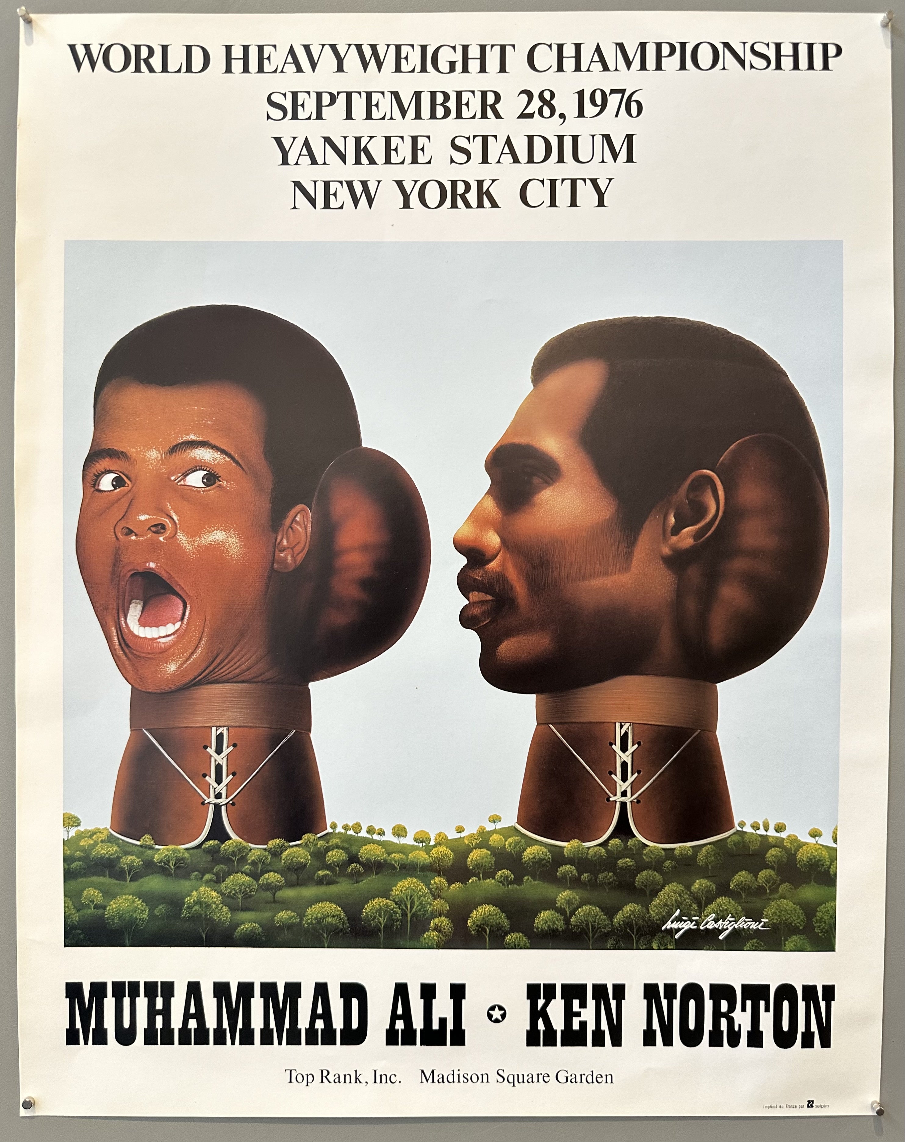 World Heavyweight Championship Yankee Stadium Poster
