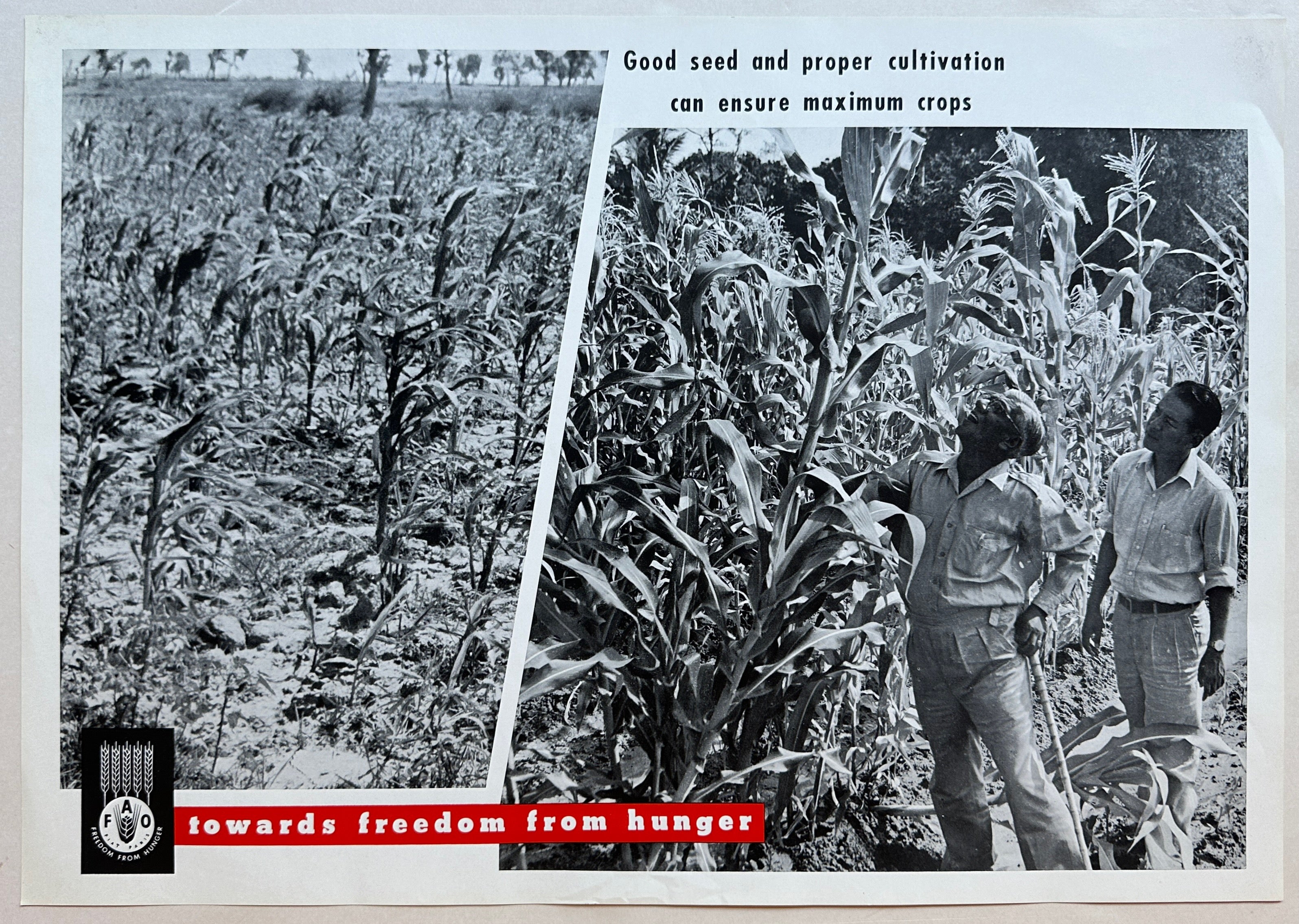Freedom From Hunger Seed and Cultivation Poster