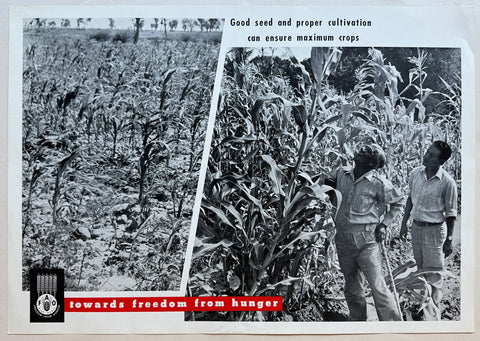 Link to  Freedom From Hunger Seed and Cultivation Poster1960s  Product