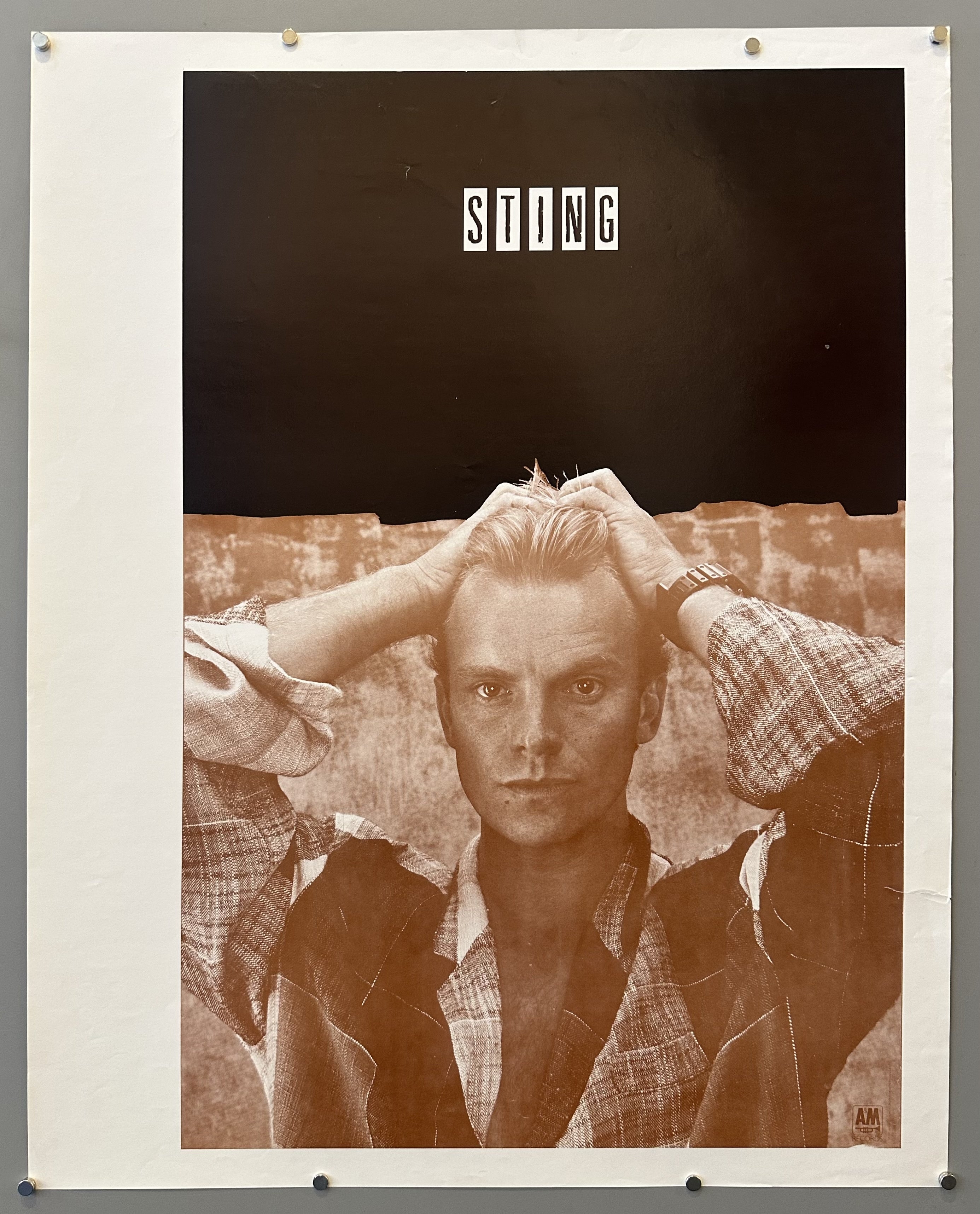 Sting's original cover from 1987 printed in sepia filter with large white border on left-hand side.