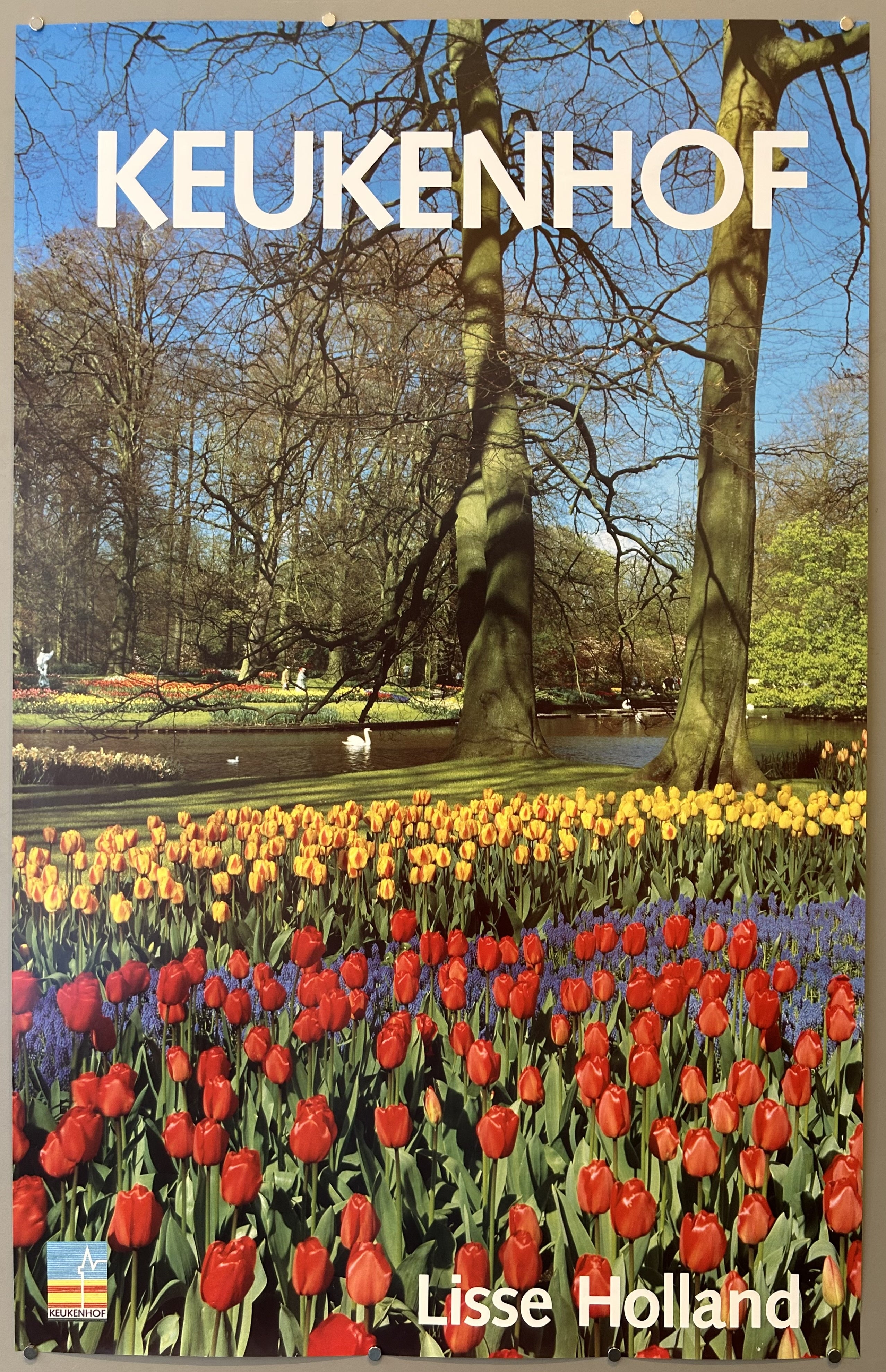 Vintage travel poster with photograph of Keukenhof gardens in Lisse, Holland to promote travel to region.