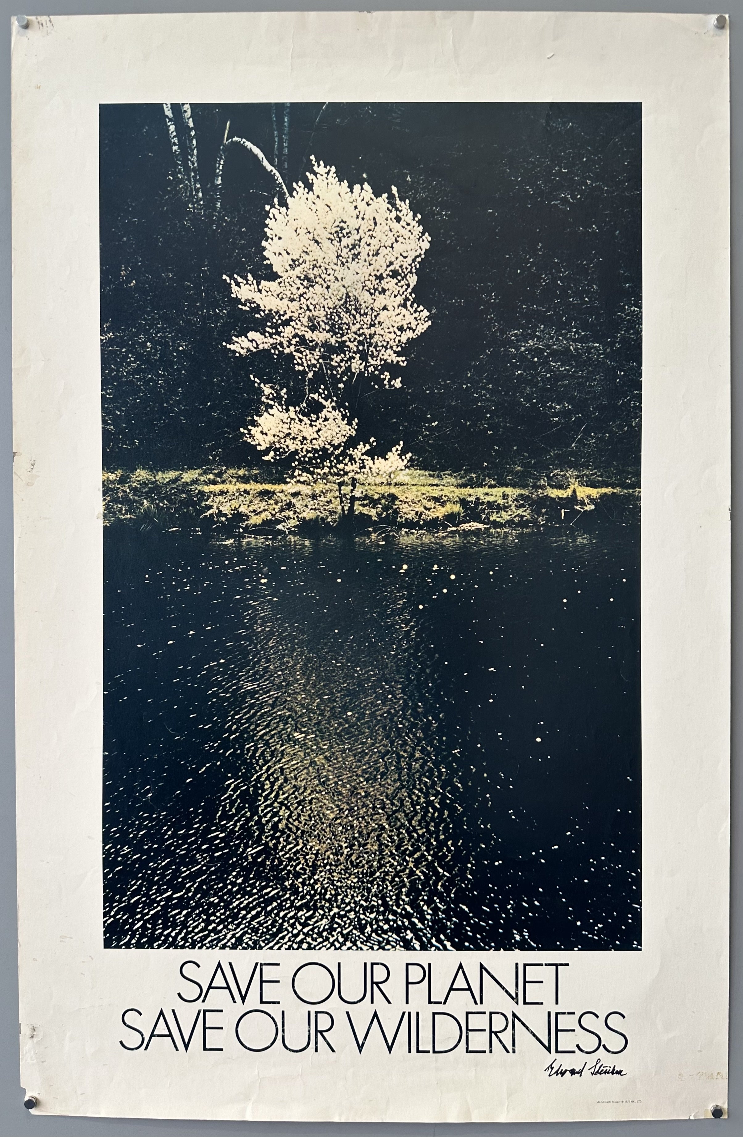 White border around Steichen photograph of flowering tree near lake with black text along bottom.