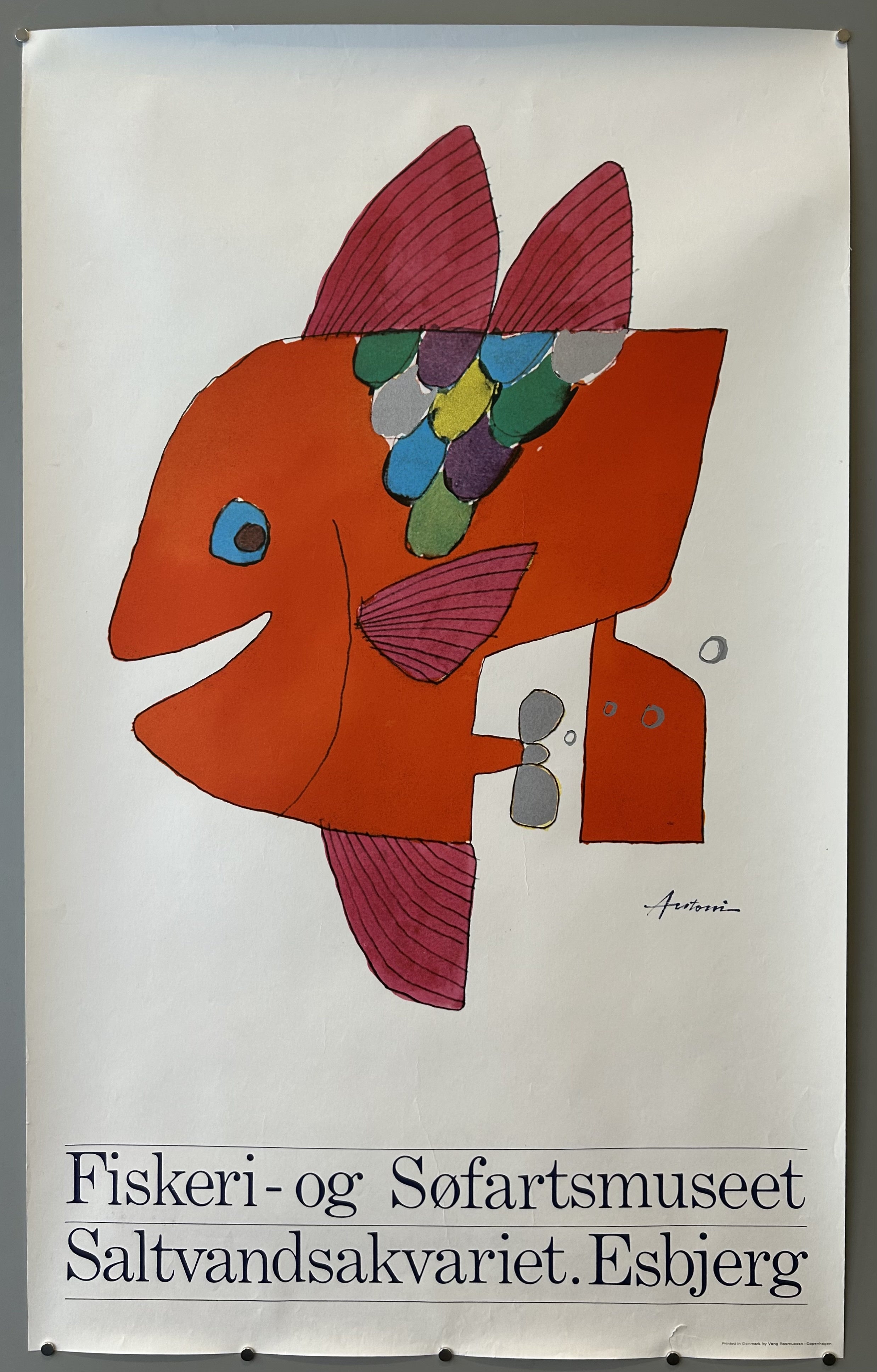 red fish