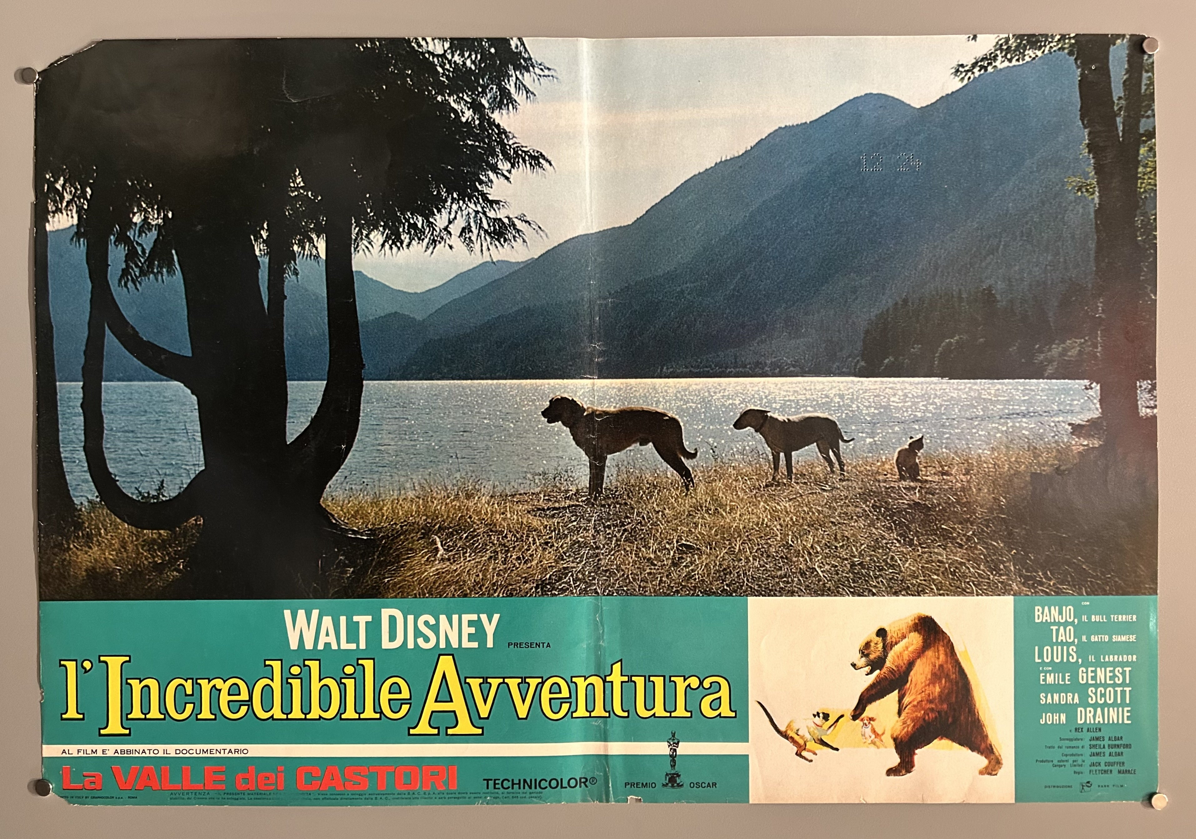 Italian film poster for The Incredible Journey featuring a still photograph from the film and a green border along the bottom.