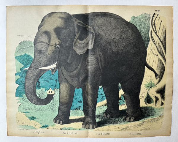 The Elephant No. 119 – Poster Museum