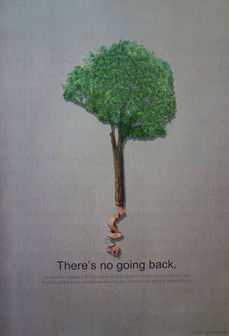 Link to  There's No Going BackJuly 1905  Product