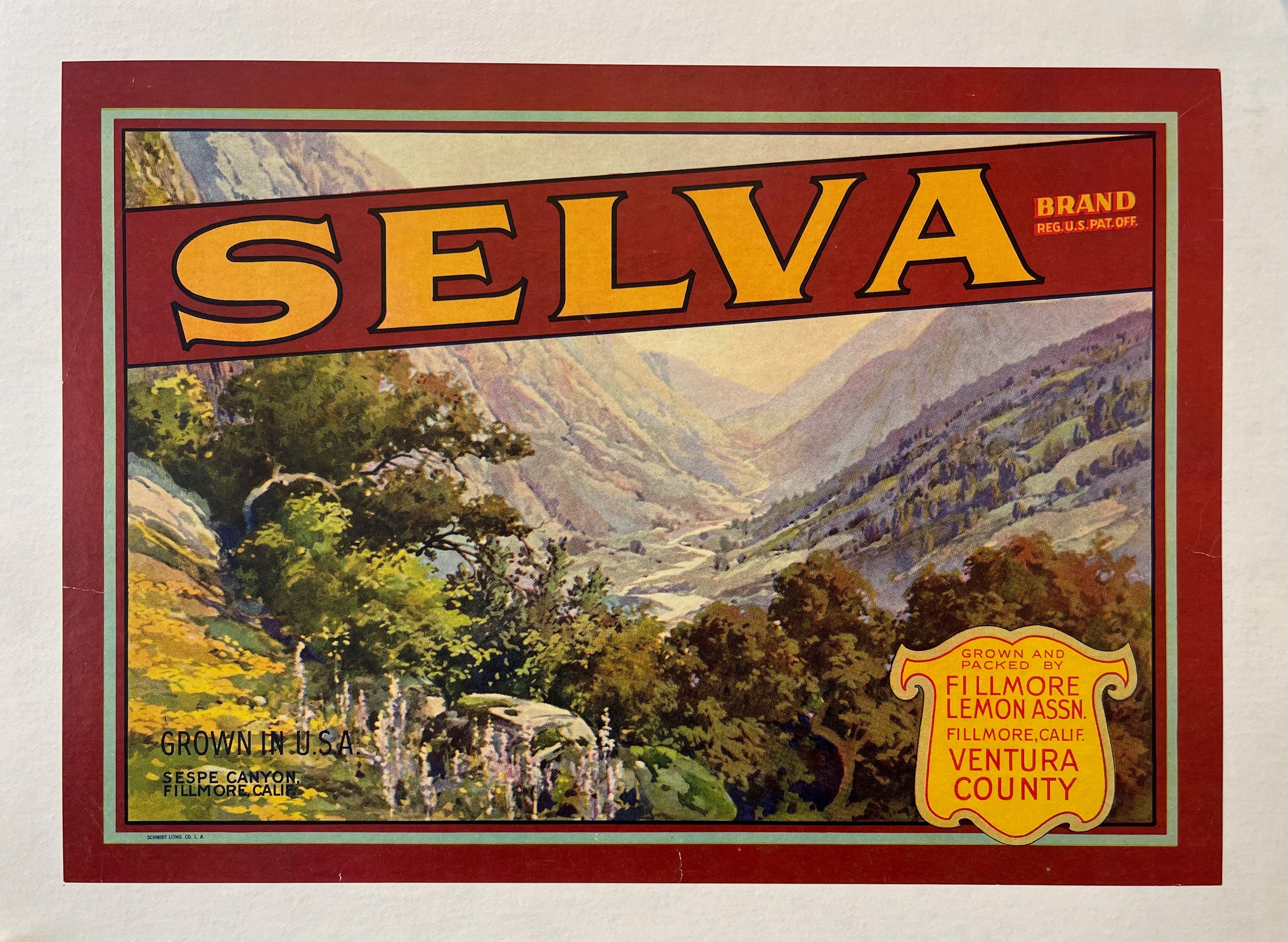 Selva Valley Poster