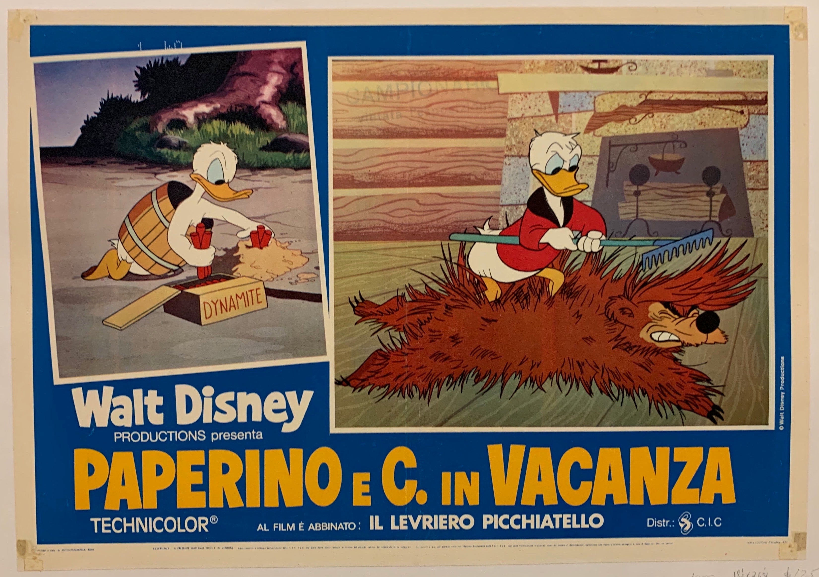 Paperino e C. in Vacanza